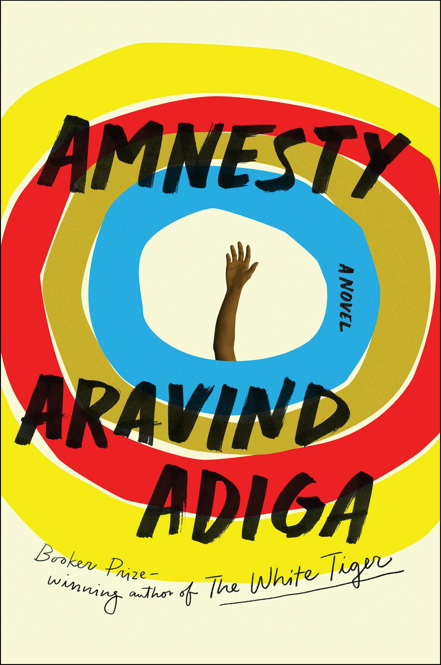 Amnesty by Aravind Adiga