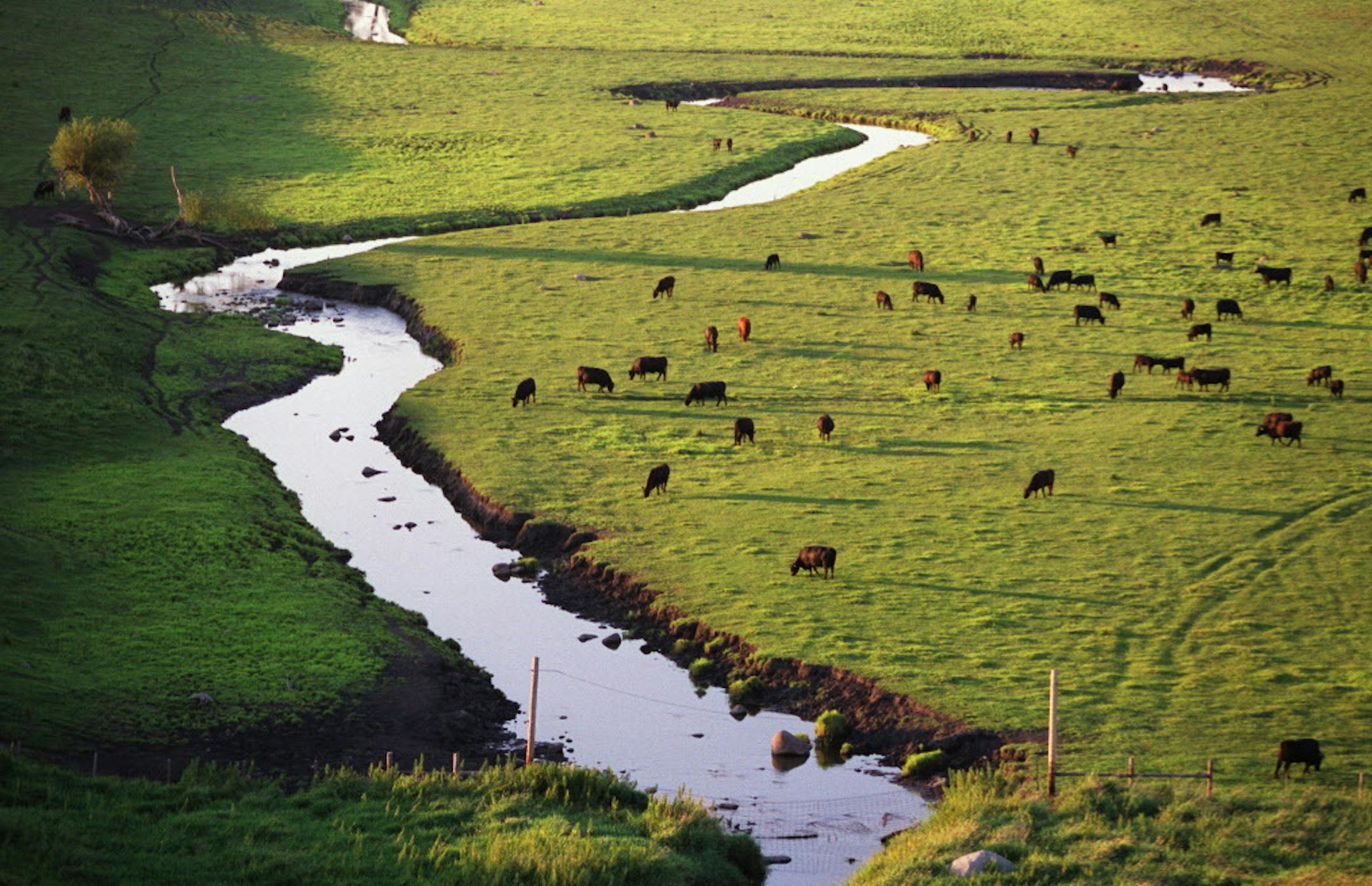 A North Dakota judge has temporarily stopped the EPA’s “Waters of the U.S.” rule covering streams, wetlands and drainage ditches.
