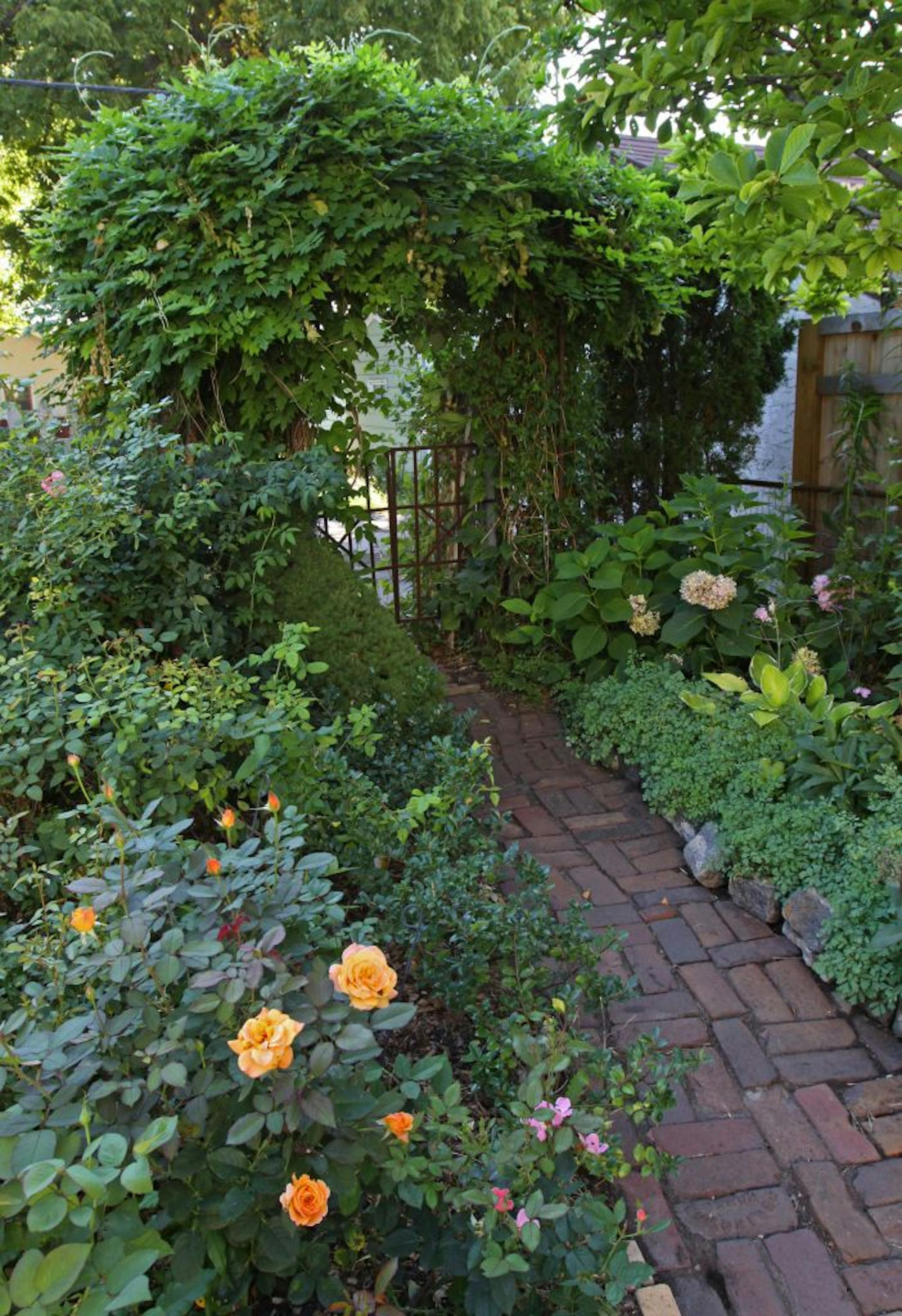 Beautiful garden winner Kate Podobinski's Bryn Mawr city gardens, 8/11/11.