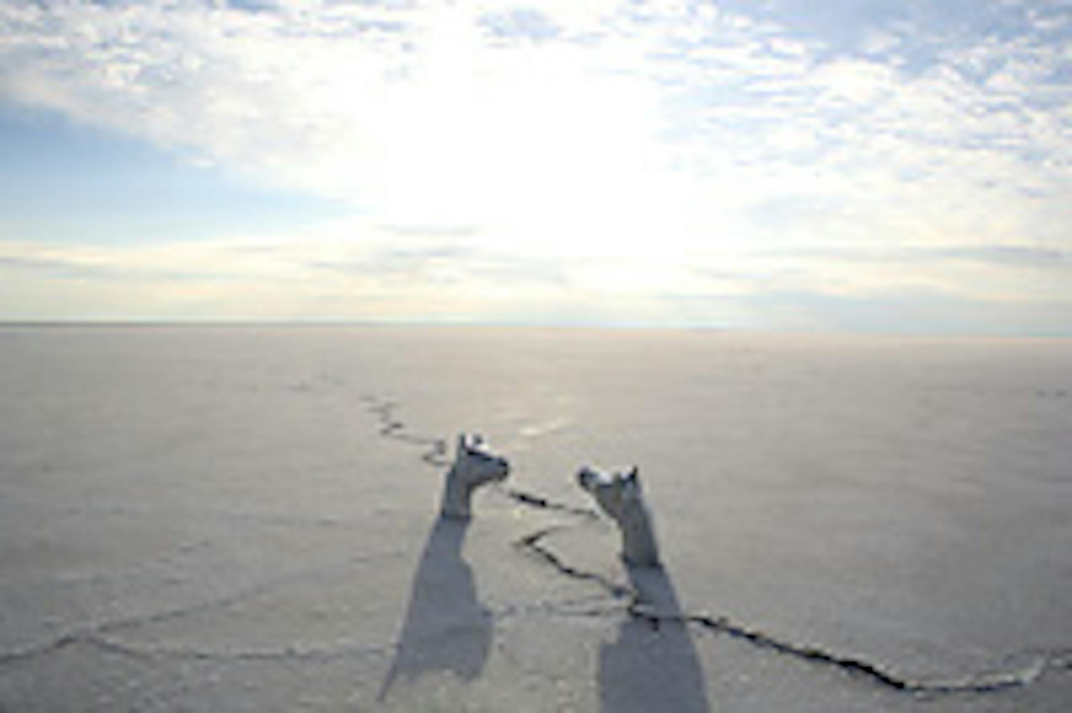 By Andréa Stanislav