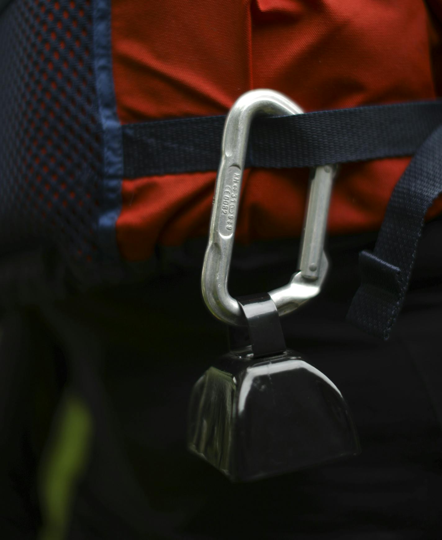 Lynn Allar has a bell attached to her life vest to give any nearby bears an alert. ] JEFF WHEELER &#xef; jeff.wheeler@startribune.com Six women who have known each other for years through their book club are going to try a canoe trip together in Canada's Quetico Provincial Park next month. Wednesday evening, May 24, 2017 they gathered at the home of one of their members, Pat Aubrecht, for a portrait. They all have camping experience, but only Allar has been canoe camping before.