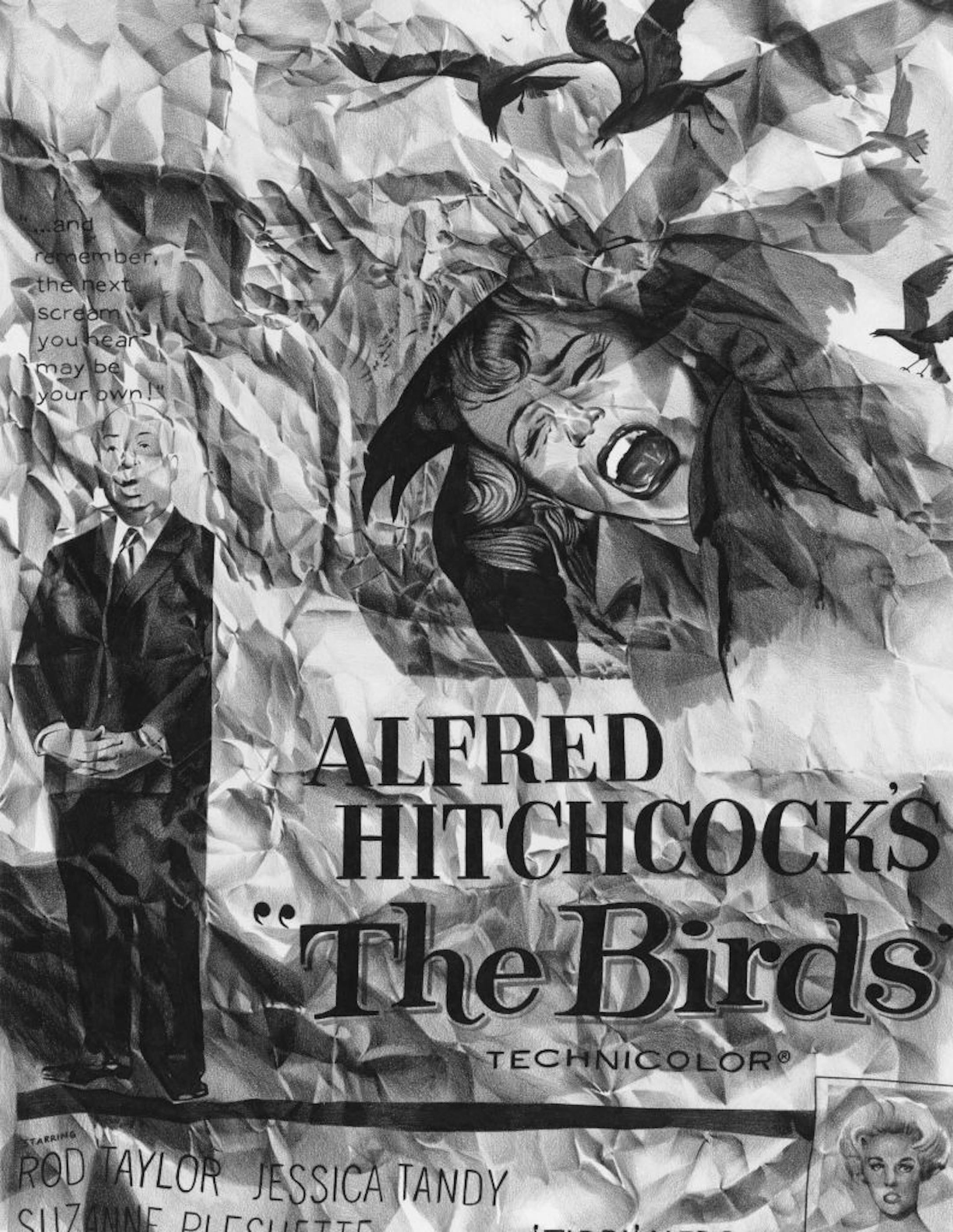 Christina Empedocles' "The Birds" at Burnet Gallery.