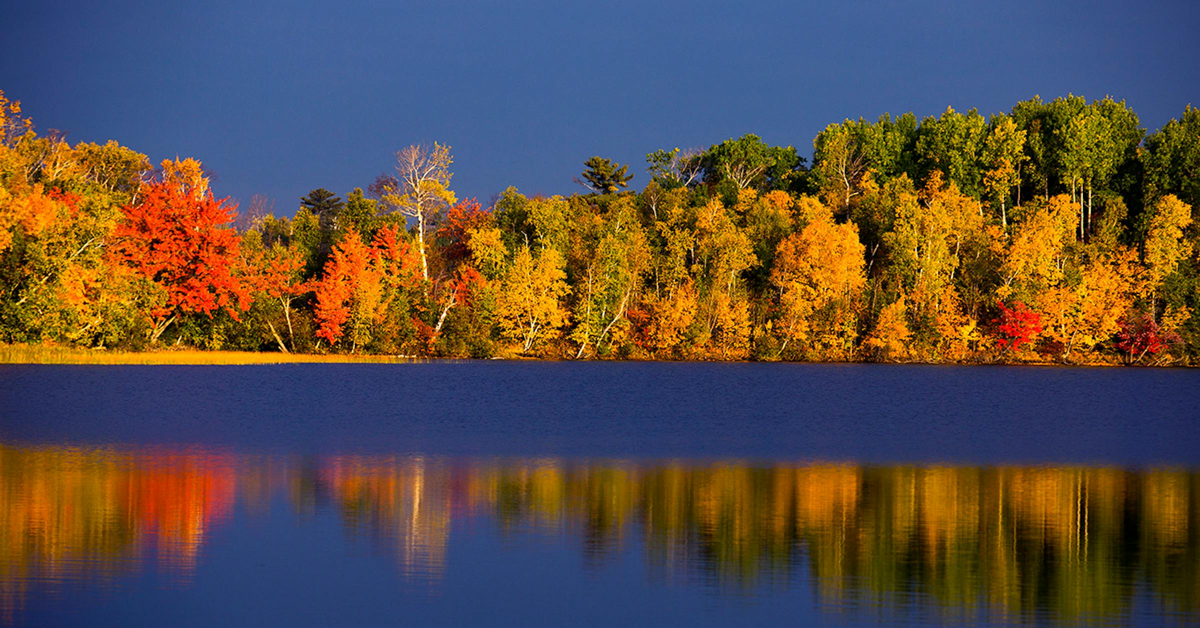 The best places to see fall colors in Minnesota? Find out with our ...