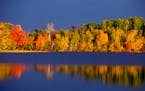 Early morning is one of the best times to photograph fall color, here, the mix of reds, yellow and green reflect off the lake north of Duluth.