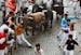 The San Fermin festival in Pamplona, Spain, has inspired plans for bull runs in 10 U.S. cities. Although 500 people had already registered for a Cante