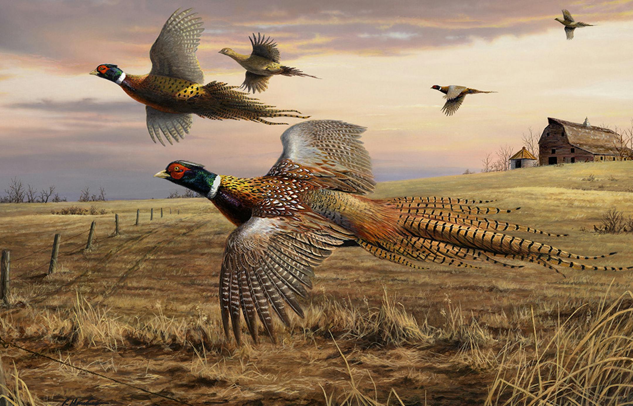 A classic scene Minnesota hunters are anticipaing with relish on this, the cusp of fall: "Full House,'' by Minnesota wildlife artist Robert Hautman ‚Äî one of the famous Hautman brothers, including Joe and Jim. Robert Hautman won the 1997 and 2001 Federal Duck Stamp contests. In 1995, and again in 2010, he finished second only to his younger brother Jim. Robert Hautman's designs were selected for the 1995 Minnesota Pheasant Stamp, the 1997, 1992 and 1988 Minnesota Duck Stamps, t
