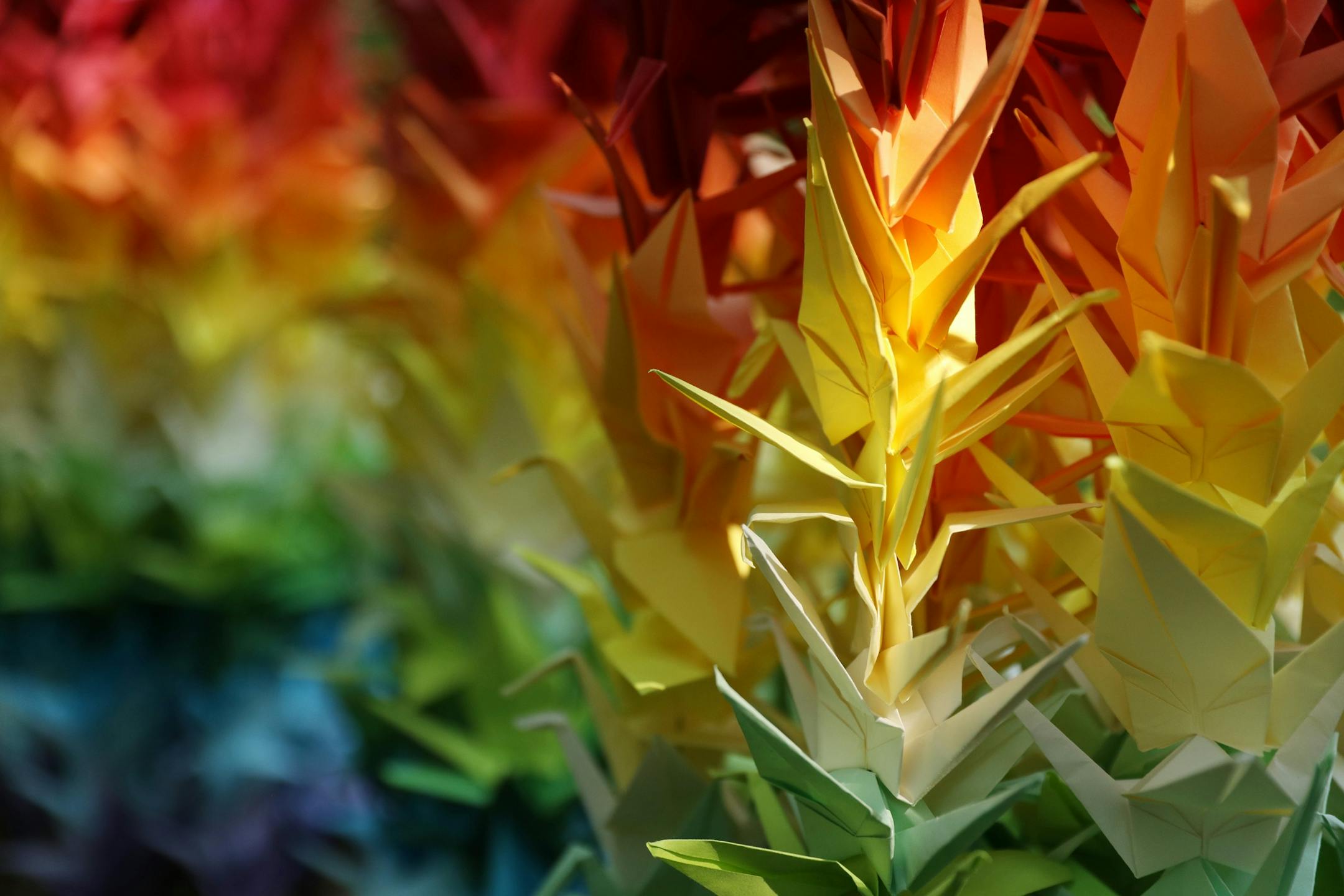 Paper cranes in honor of Justine Ruszczyk Damond hung near a bench dedicated to her at Minnehaha Creek between 53rd and 54th streets on the one year anniversary of her death.