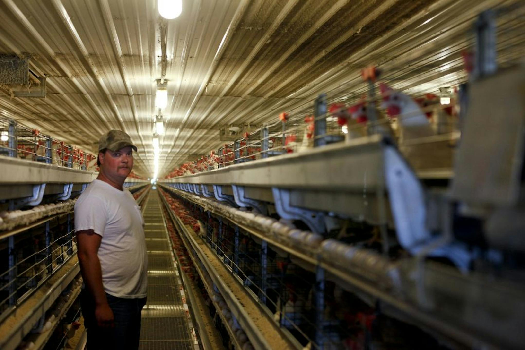 Isaac Baer recently spent $2.5 million to upgrade his hen houses, but they would not conform to requirements of a proposed law in Congress.