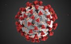 Researchers at the University of Minnesota will oversee international clinical trials of synthetic antibody therapies, and whether they can treat COVI