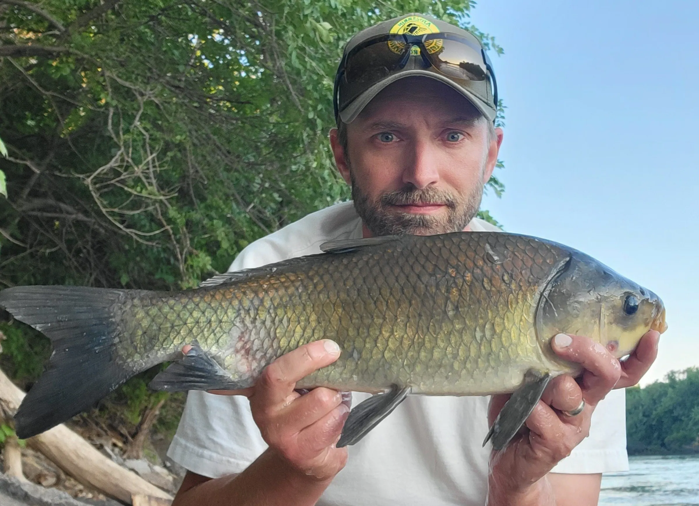 Fresh look at rough fish and their protection builds steam