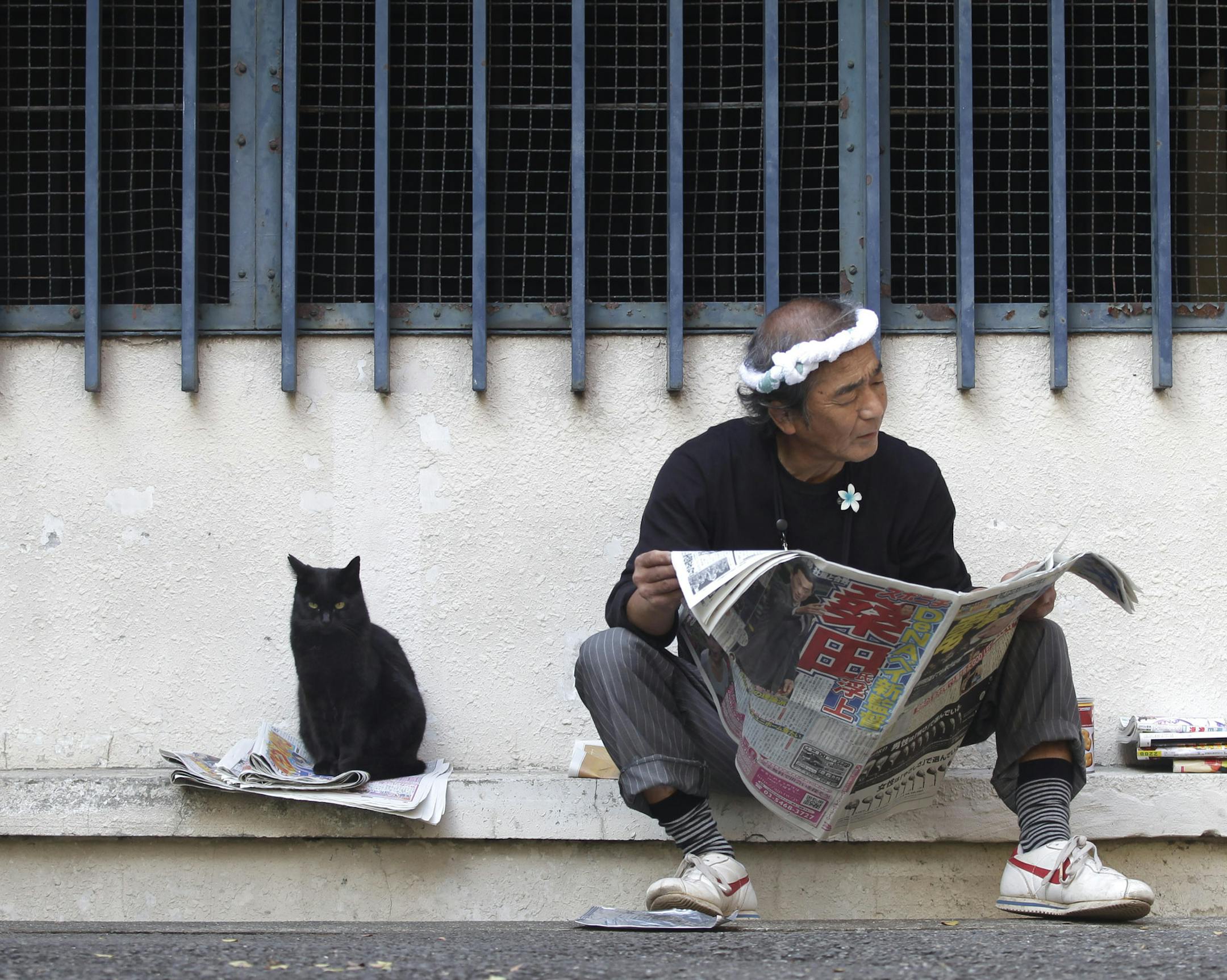 A cat sits by a man reading a newspaper at a park in Tokyo Monday, Nov. 7, 2011. (AP Photo/Shizuo Kambayashi)