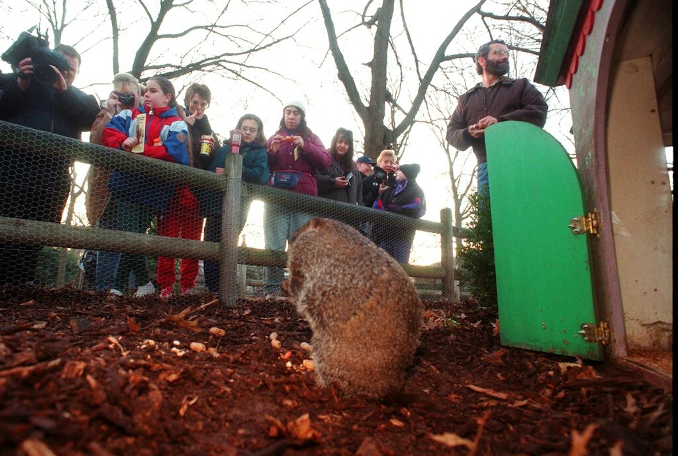 "Staten Island Chuck", described as the tri-state area's official spring weather forecaster, center, greets waiting onlookers at the Staten Island Zoo, in the Staten Island borough of New York Sunday, Feb. 2, 1997. Zoo Director Vincent Gattullo said that Chuck "saw no shadow upon exiting the front door of his miniature cottage... All New Yorkers may assume that spring will be here before they know it!"(AP Photo/Adam Nadel)