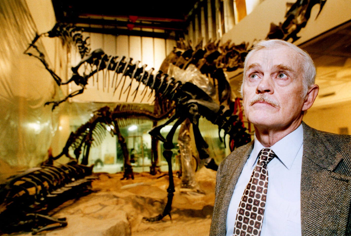 January 31, 1992 Bruce Erickson, curator of paleontology examined the new Diplodocus, Allosaurus and Camptosuarus exhibit at science Museum of Minnesota, St. Paul. February 15, 1992 Bruce Bisping, Minneapolis Star Tribune