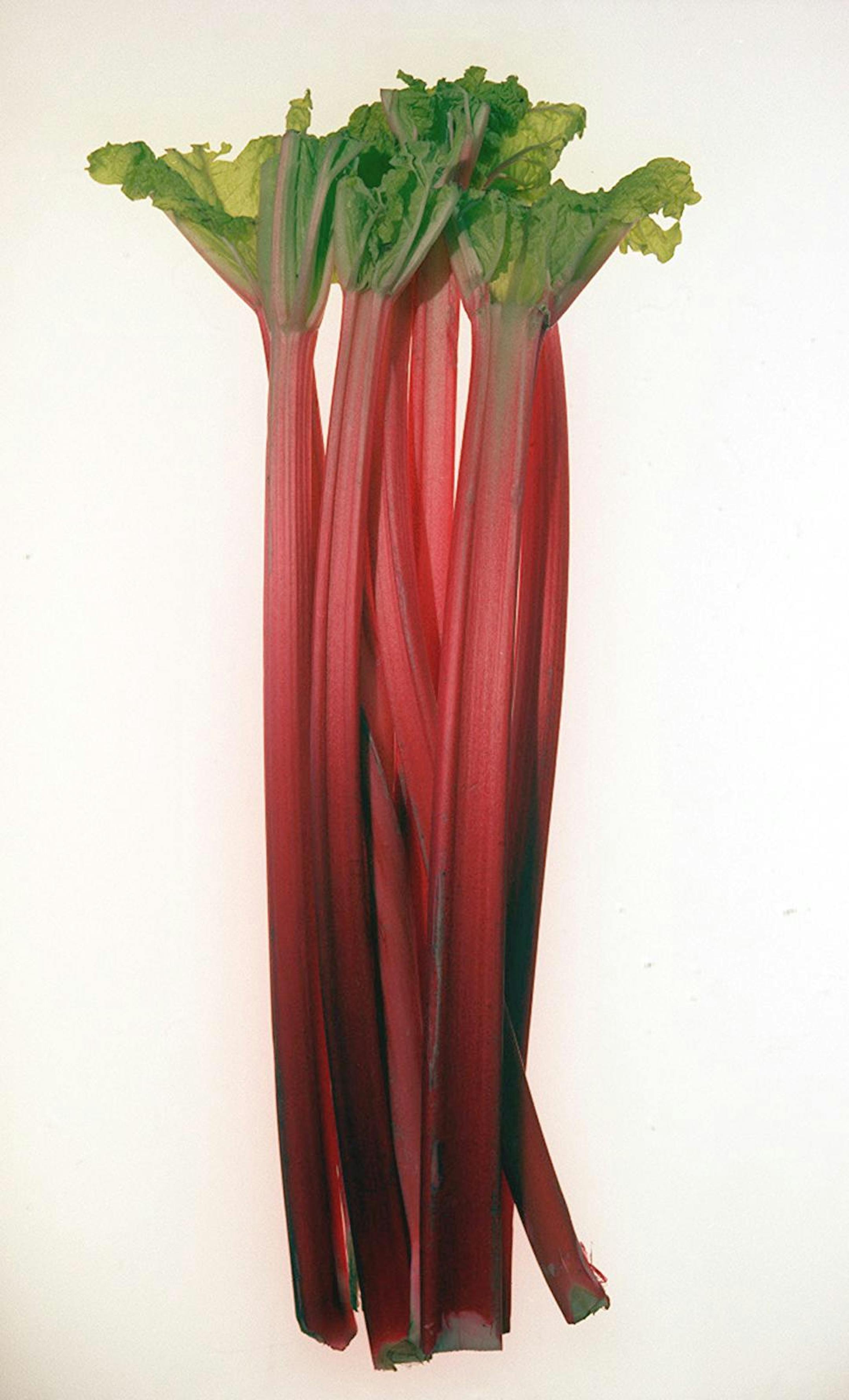 Rhubarb can be a challenge. It has such an aggressive nature that it needs to be sweet-talked into being palatable. Yet it is so vibrant a harbinger of spring that chefs are willing to exploit it in new and unusual ways.