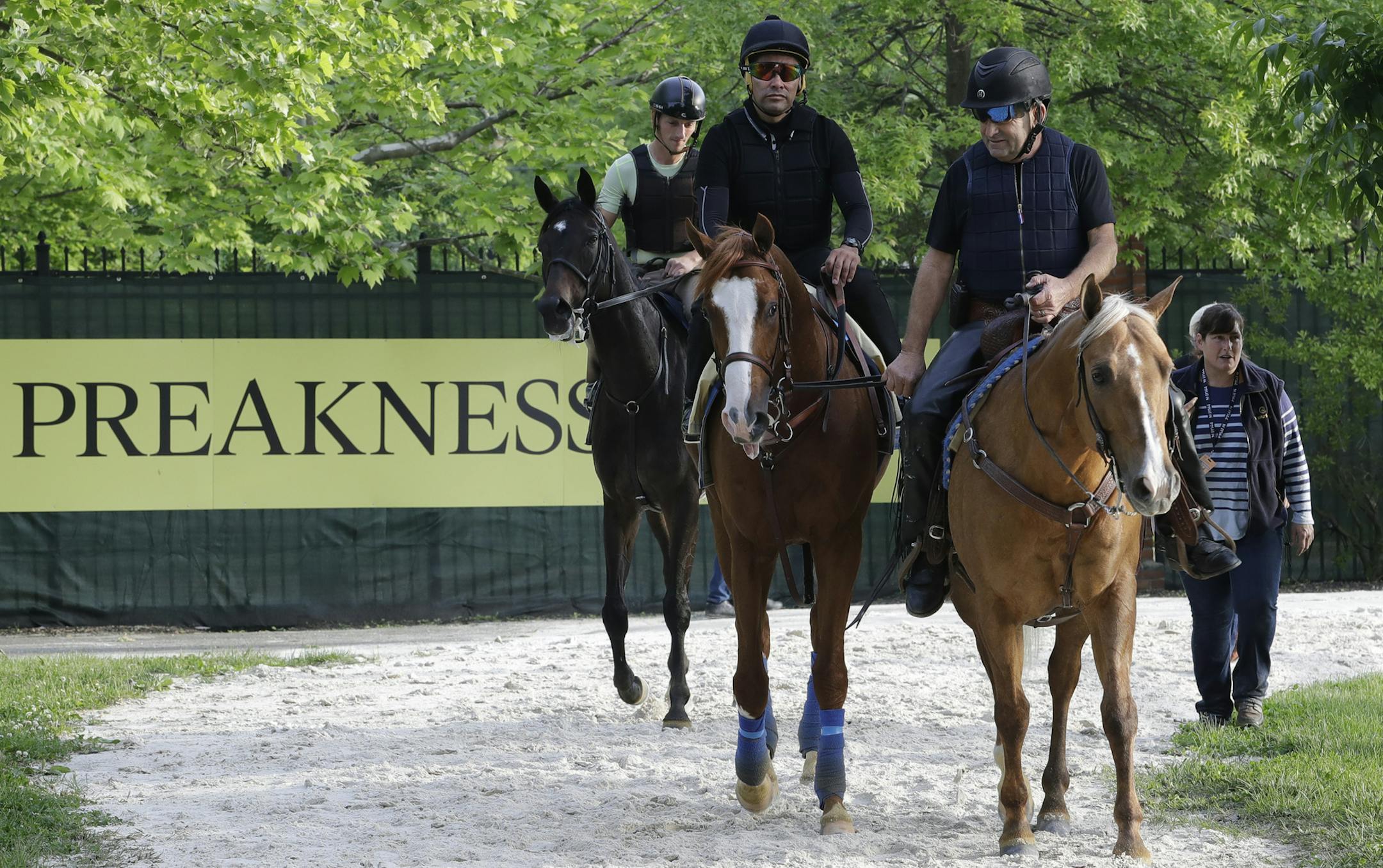 Improbable, the favorite in a field that lacks the Kentucky Derby winner, was led back the barn after training Friday at Pimlico.