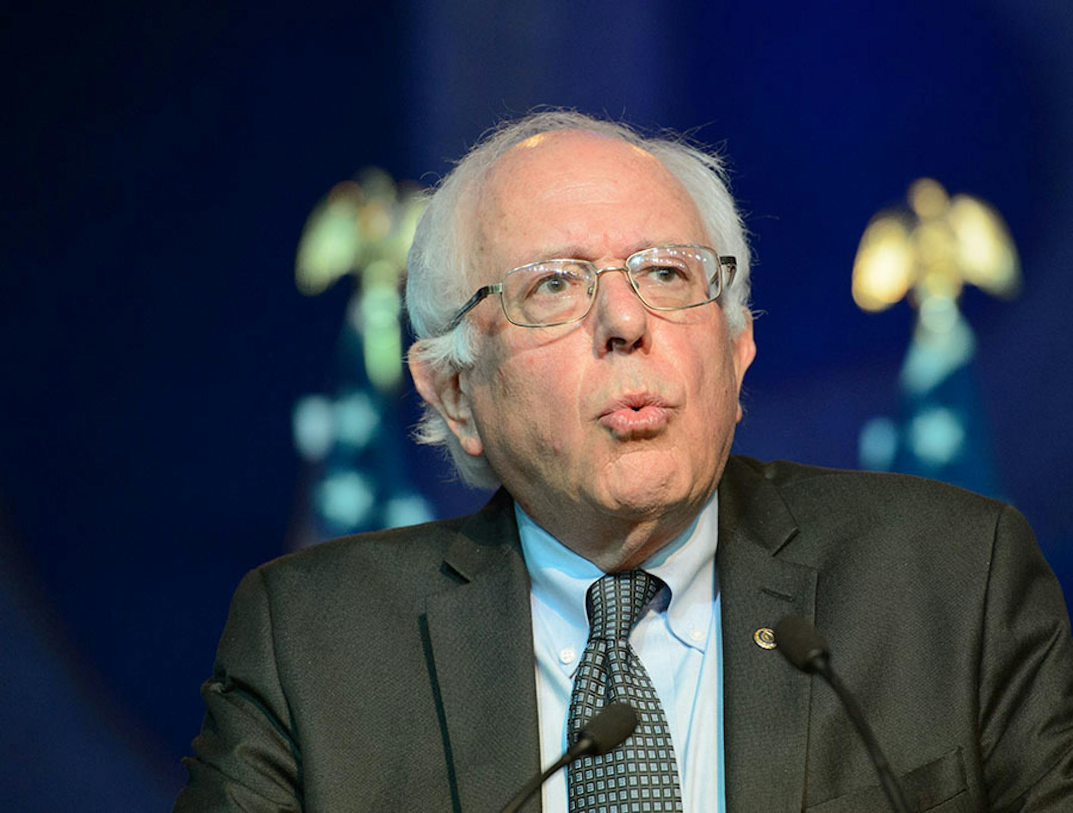 Democratic hopeful Bernie Sanders spoke to the DNC summer meeting.