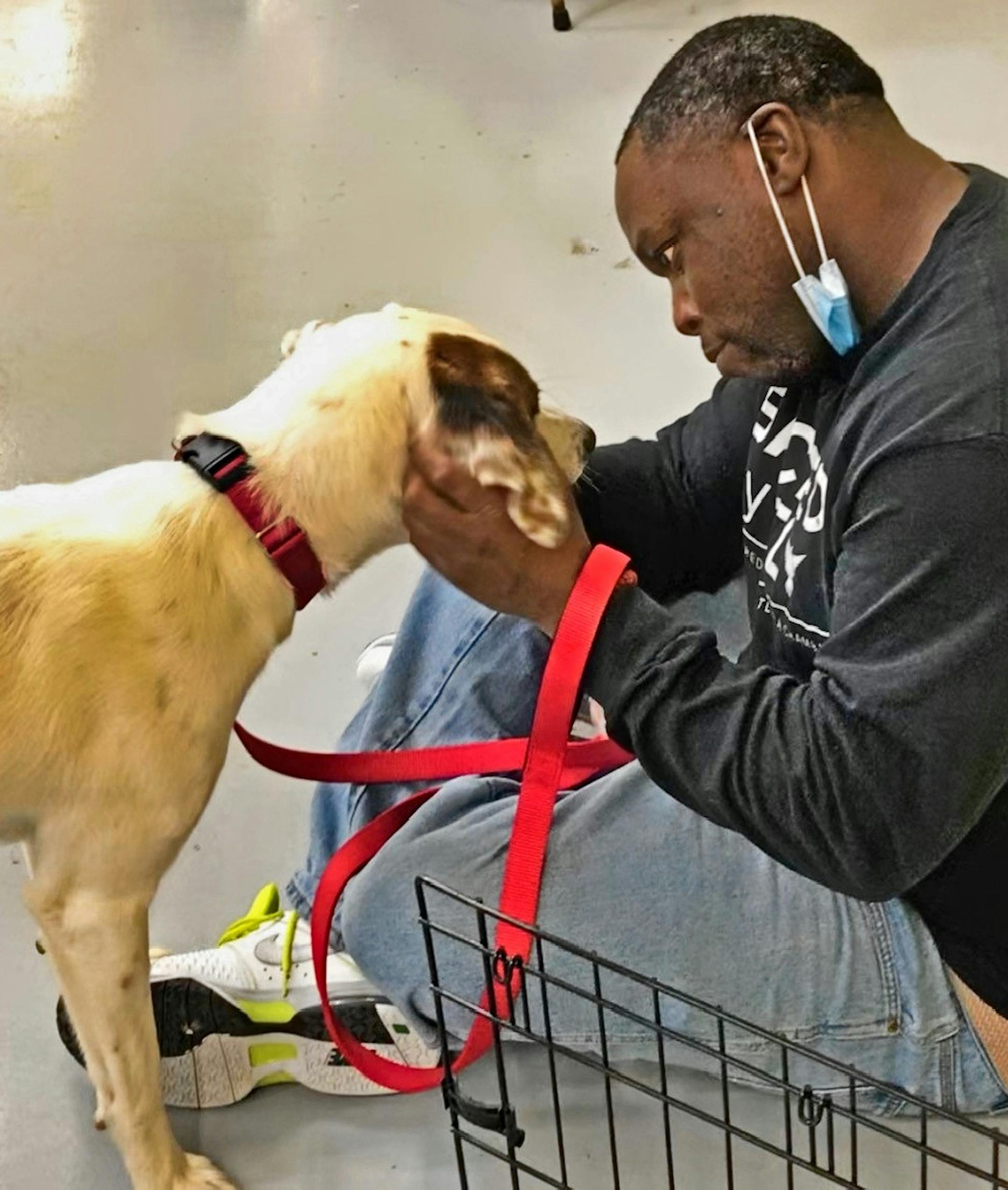 MUST CREDIT: Canine CellMates