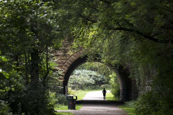 A jogger passes under the 7th Street bridge in Swede Hollow Park in St. Paul on Friday, August 28, 2015.
