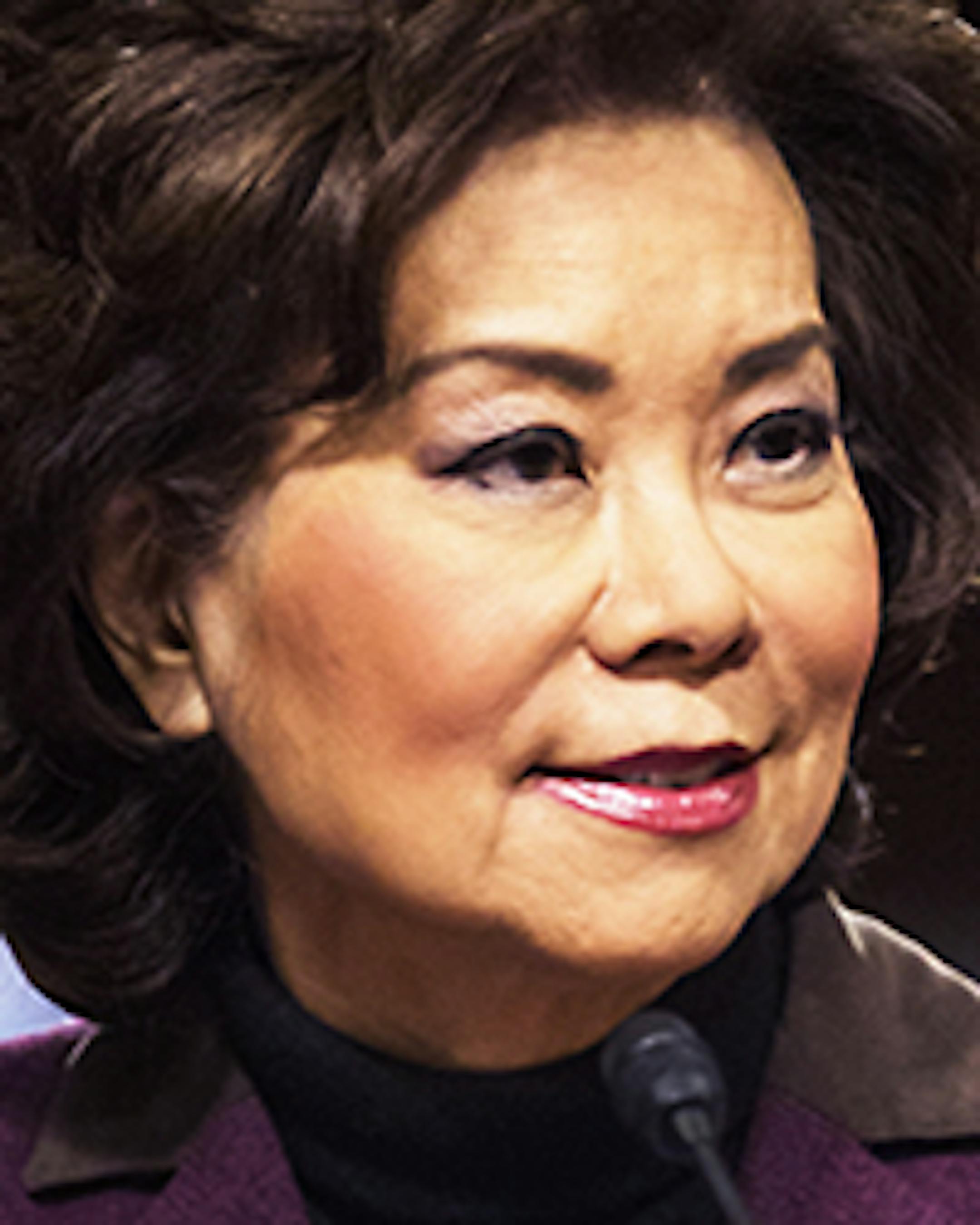 Transportation Secretary-designate Elaine Chao testifies on Capitol Hill in Washington, Wednesday, Jan. 11, 2017, at her confirmation hearing before the Senate Commerce, Science, and Transportation Committee. (AP Photo/Zach Gibson)