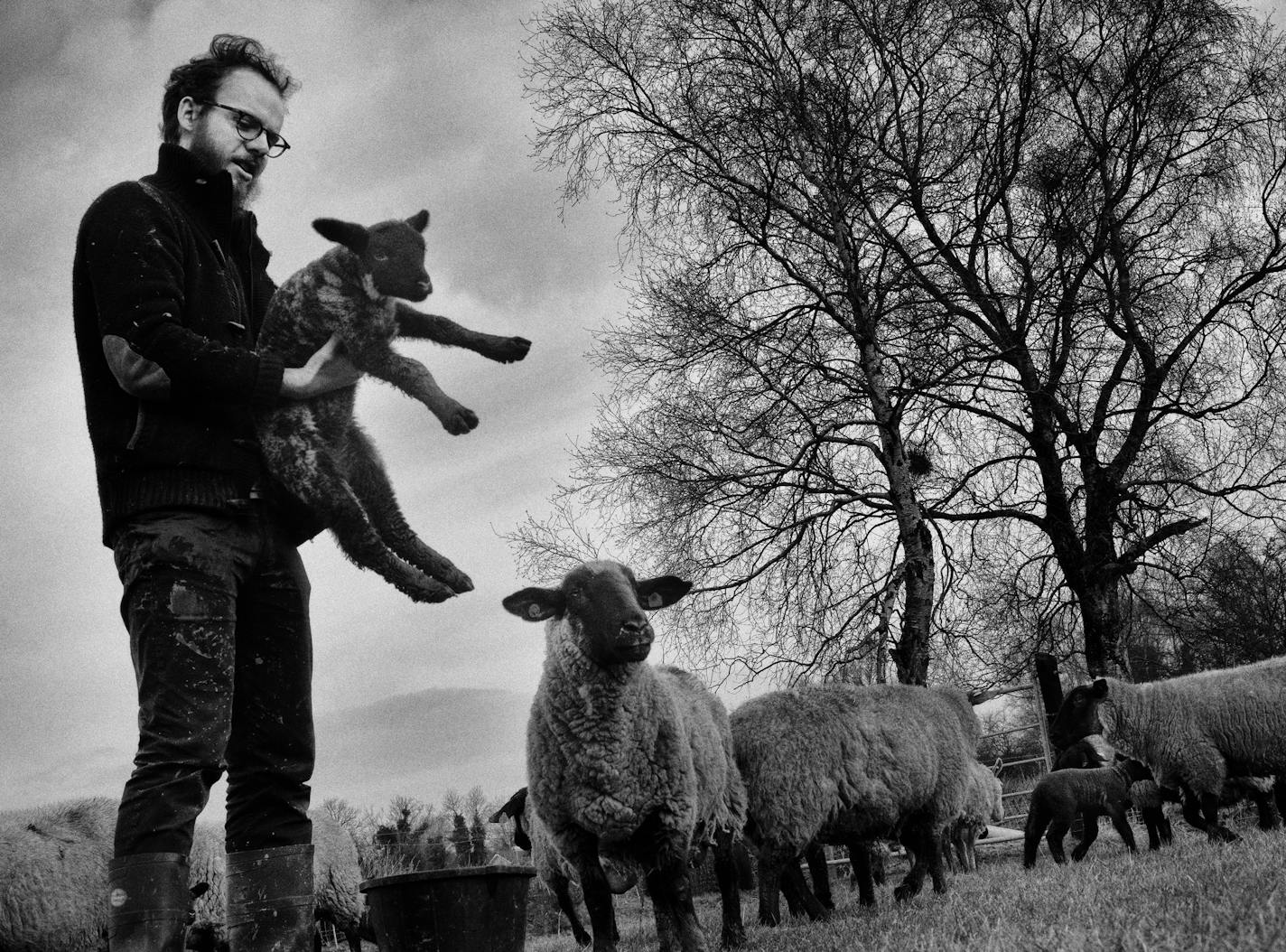 John Connell on his family's farm in Ireland.