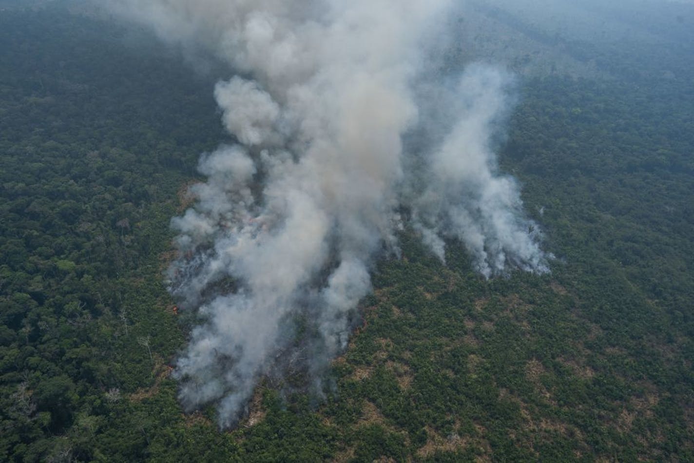 Fire consumes an area near Porto Velho, Brazil, Friday, Aug. 23, 2019. Brazilian state experts have reported a record of nearly 77,000 wildfires across the country so far this year, up 85% over the same period in 2018. Brazil contains about 60% of the Amazon rainforest, whose degradation could have severe consequences for global climate and rainfall.