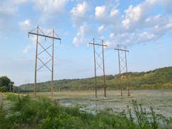Electrical transmission lines in Lilydale Regional Park in St. Paul. 