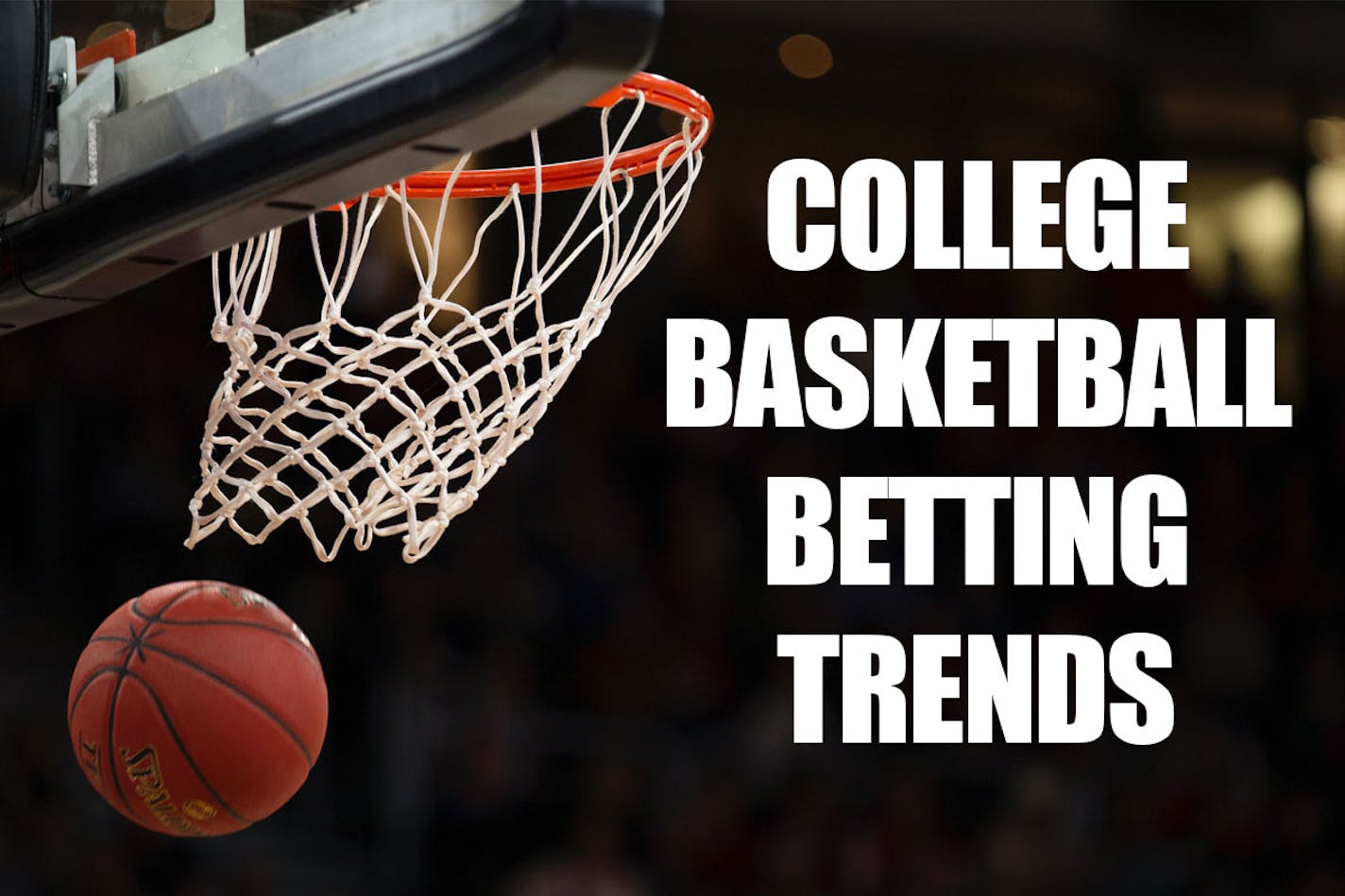 Minnesota basketball betting