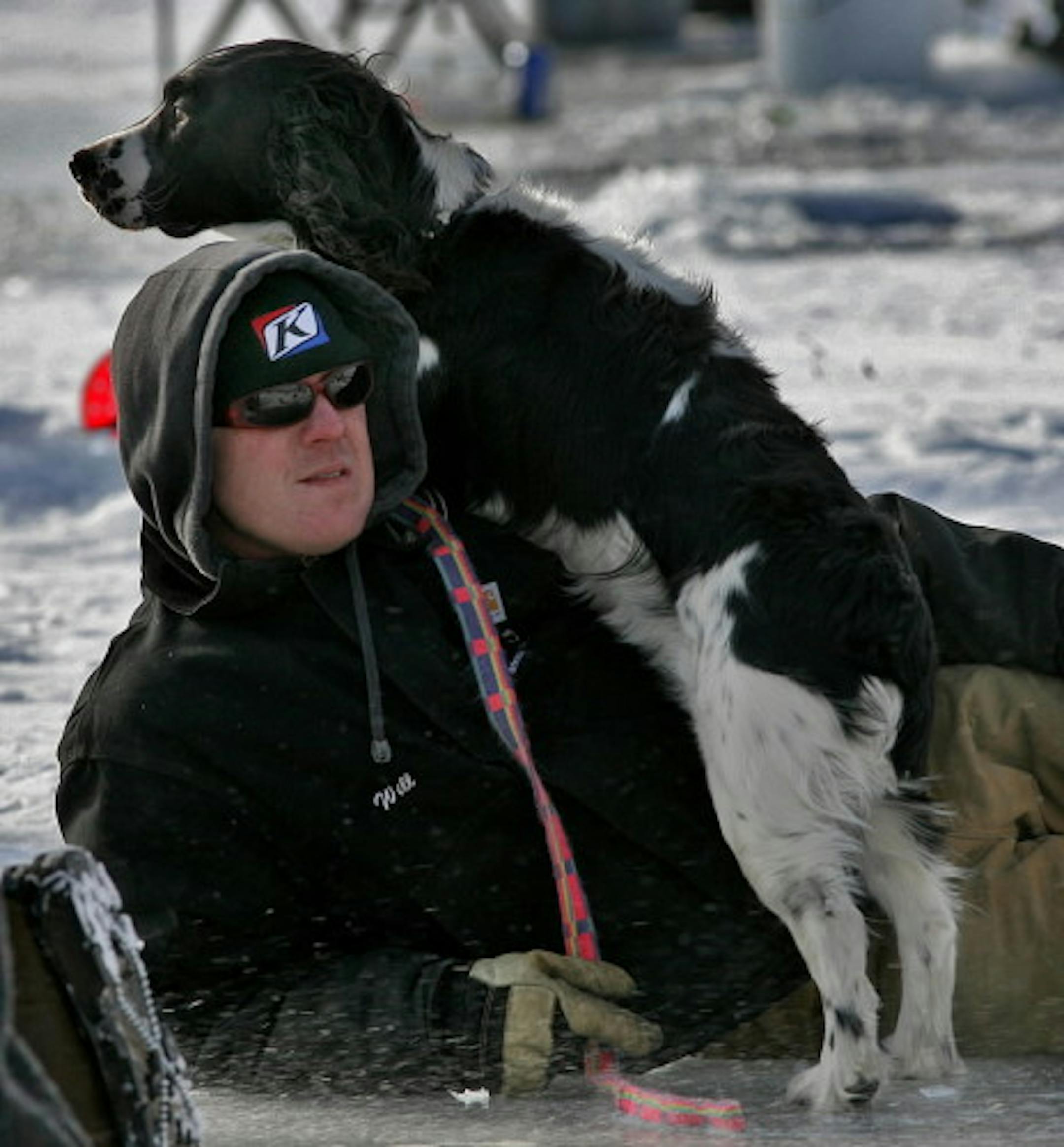 Corn-based products, such as Safe Walk, supposedly are safer for lawns and gentler on pet feet.