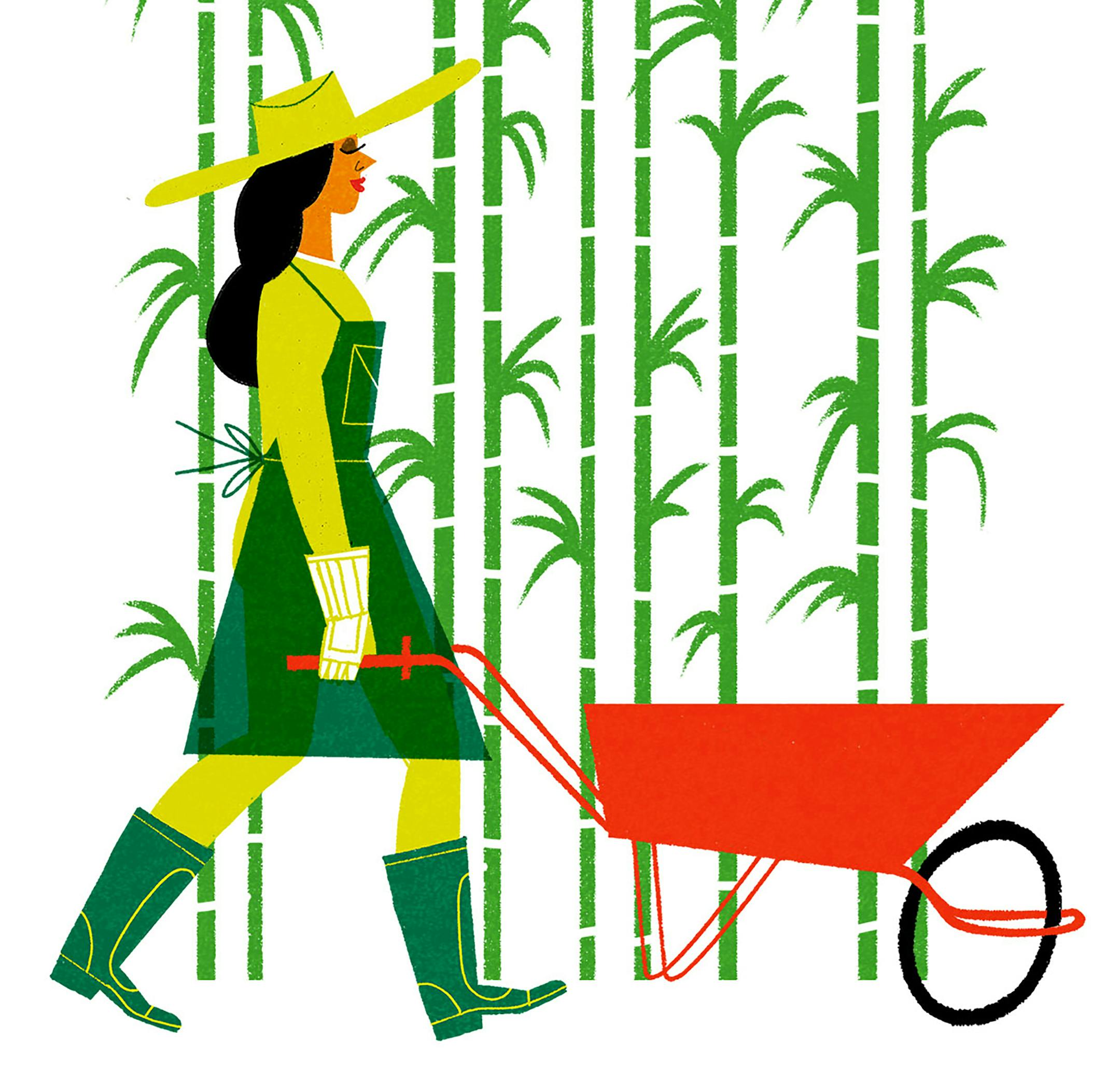 Advice from an expert about choosing outdoor fabrics, growing bamboo, settling on ceiling fans and finding stylish bird feeders.