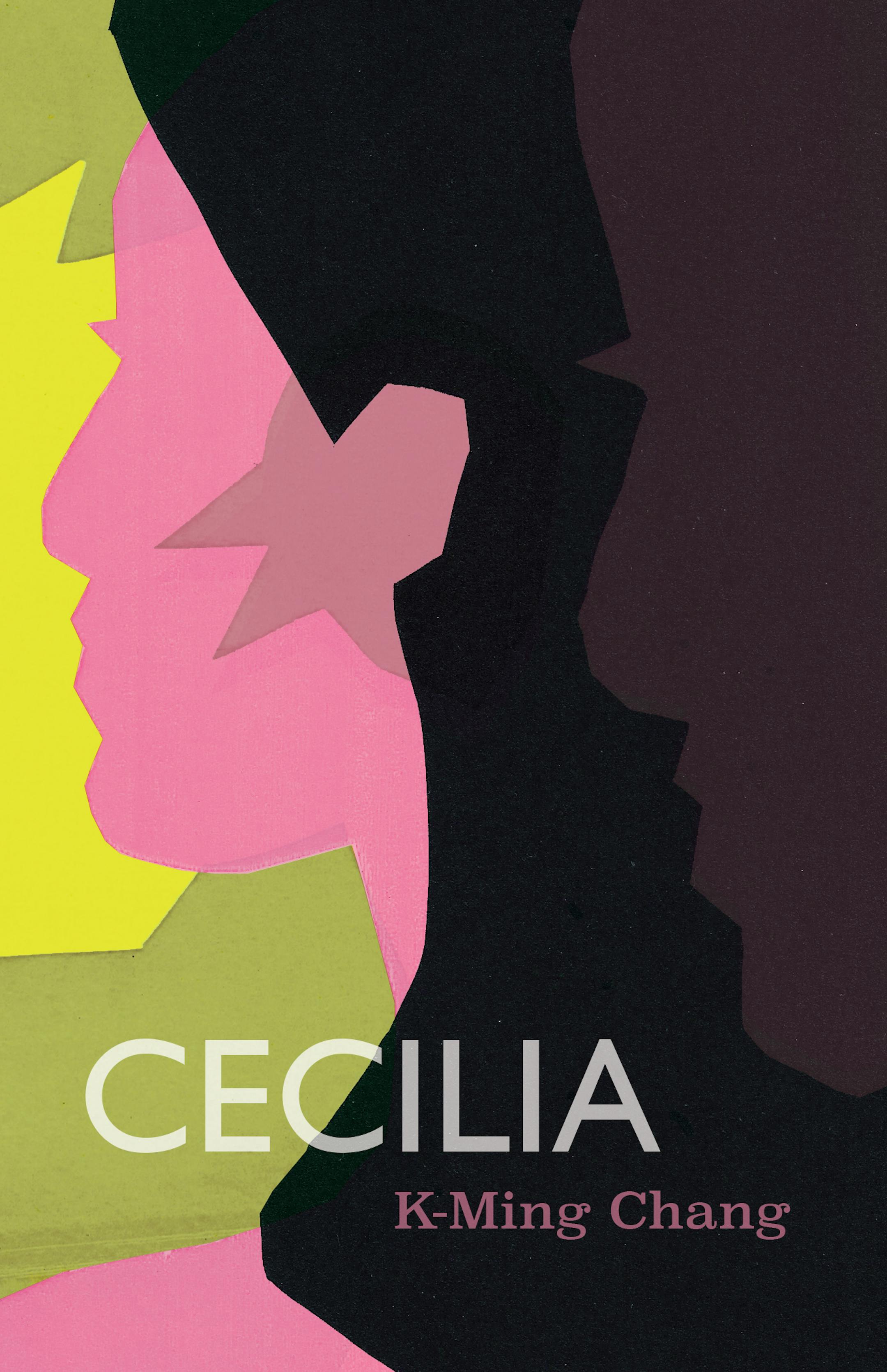 Cover of novel "Cecilia" is an illustration of a woman's face