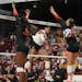 Gophers redshirt sophomore Taylor Landfair, above middle, had a career-high 28 kills in the four-set victory against Florida. She leads the team in ki