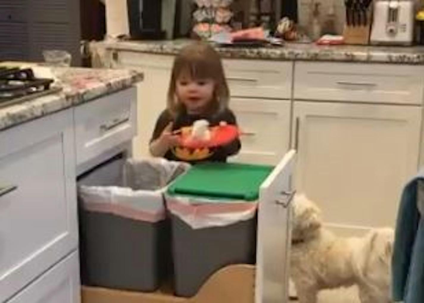 A Minnesota toddler went viral singing DMX lyrics.