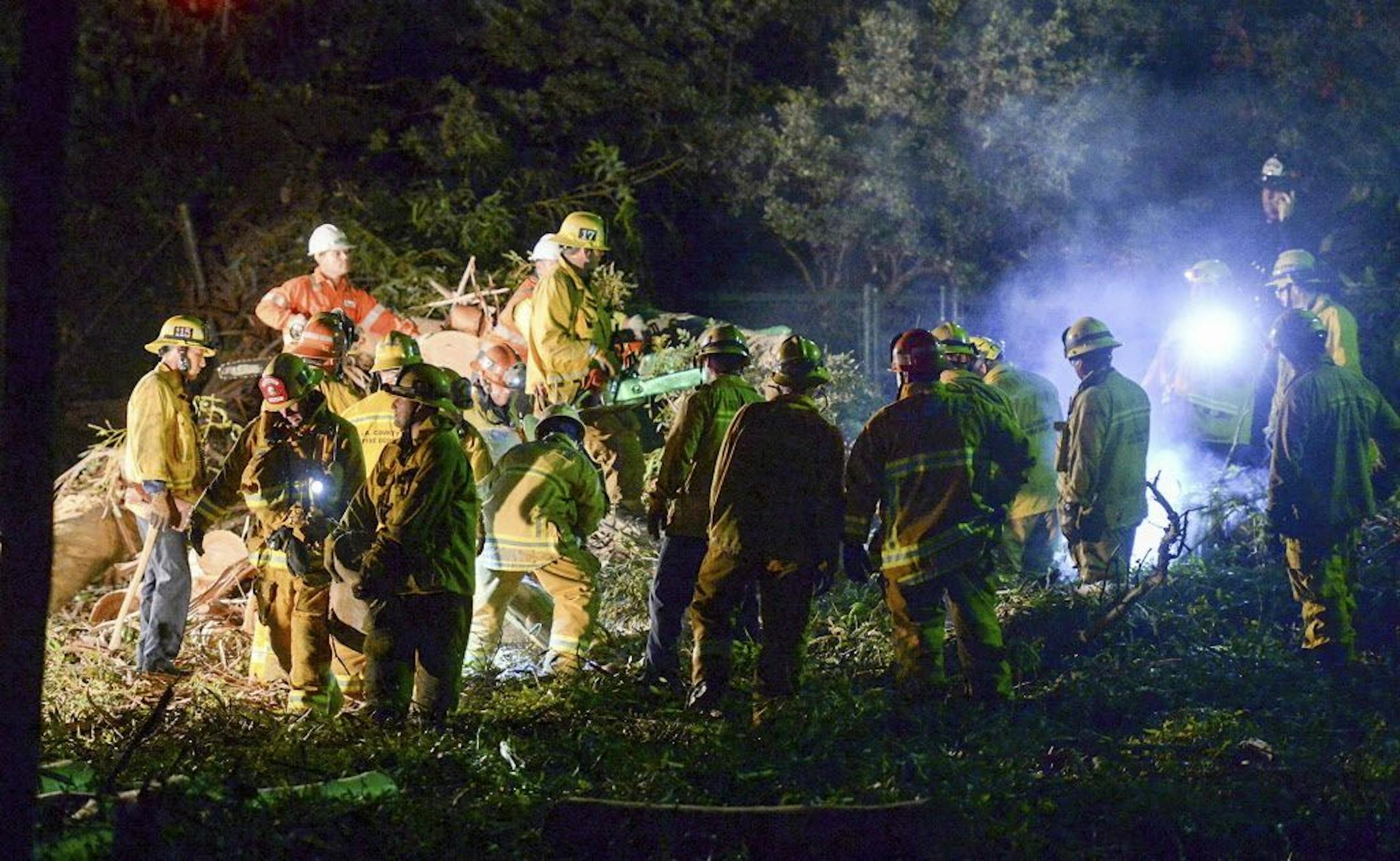 Los Angeles County Fire Dept. firefighters work at the scene where a large tree fell on a wedding party in Whittier, Calif., Saturday, Dec. 17, 2016. Southern California fire officials say one person died and five people were injured after a large eucalyptus tree fell down onto a wedding party taking pictures at a park. Several people were trapped after the tree toppled Saturday in Whittier at Penn park.