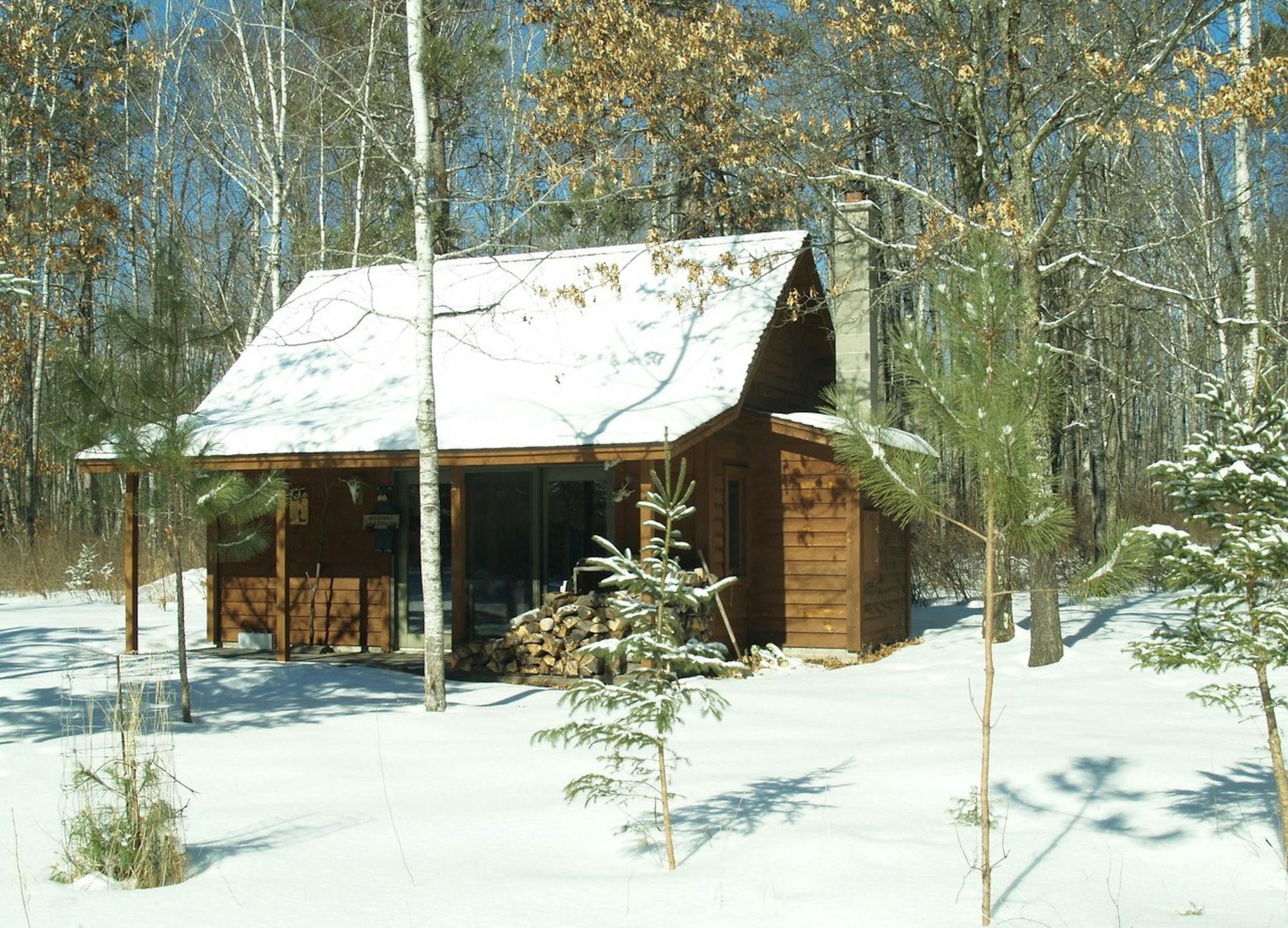 Family is perfectly happy with a woodland view from the cabin in Fifty Lakes, Minn.