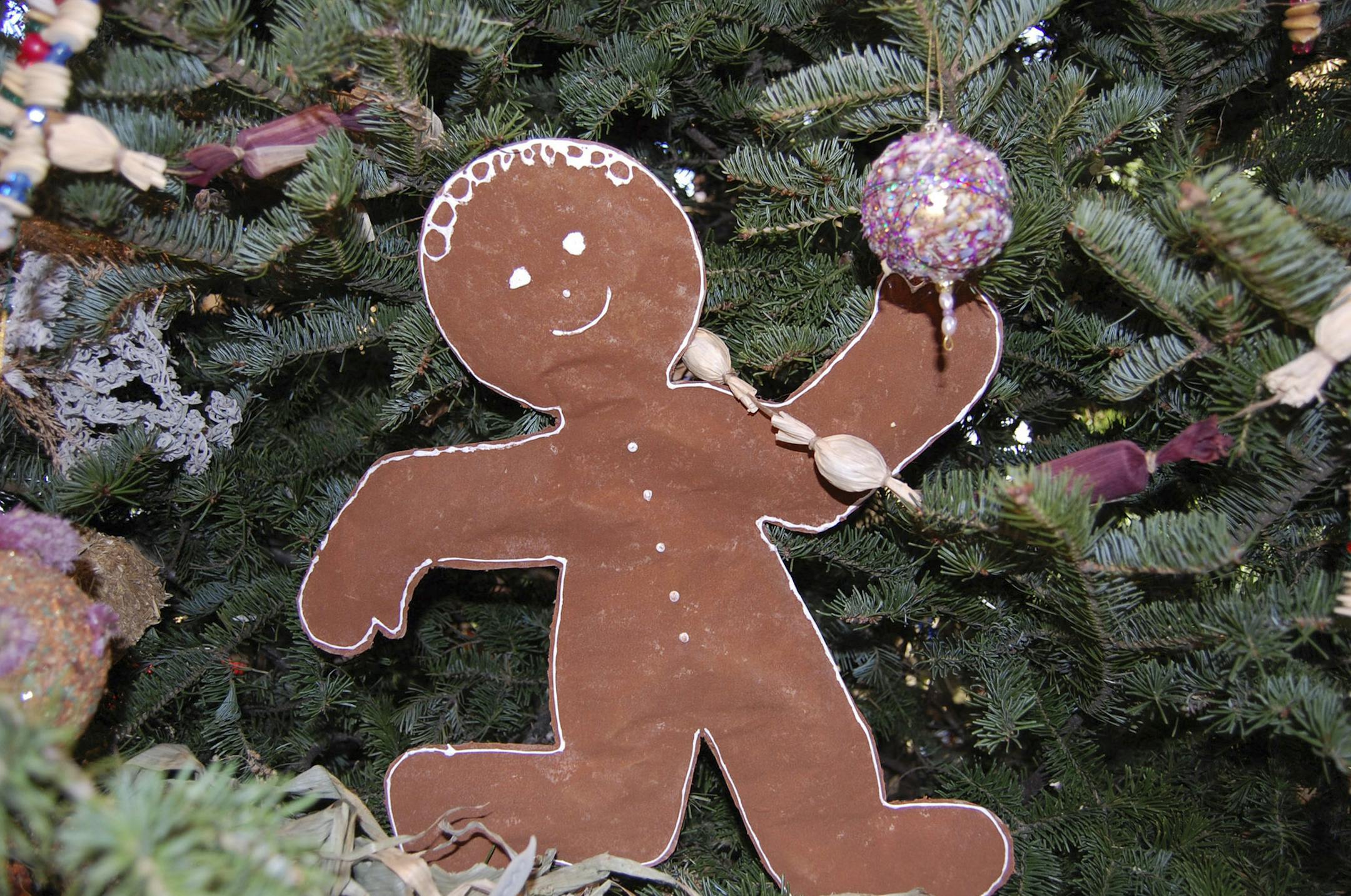 Provided by Minnesota Landscape Arboretum Visitors will discover gingerbread figures indoors and out during the Minnesota Landscape Arboretum's "Making Spirits Bright" season Nov. 26-Jan. 2.