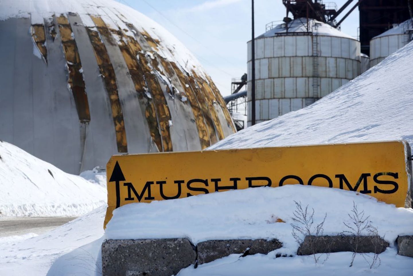 Mississippi Mushrooms is located In the middle of the Upper Harbor Terminal site and seen Thursday, March 7, 2019, in Minneapolis, MN.