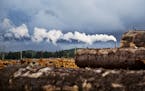Logs are piled at a lumber yard in Aberdeen, Wash., Monday, June 12, 2017. The timber economy started to slip in the 1960s, slowly at first. Then the 