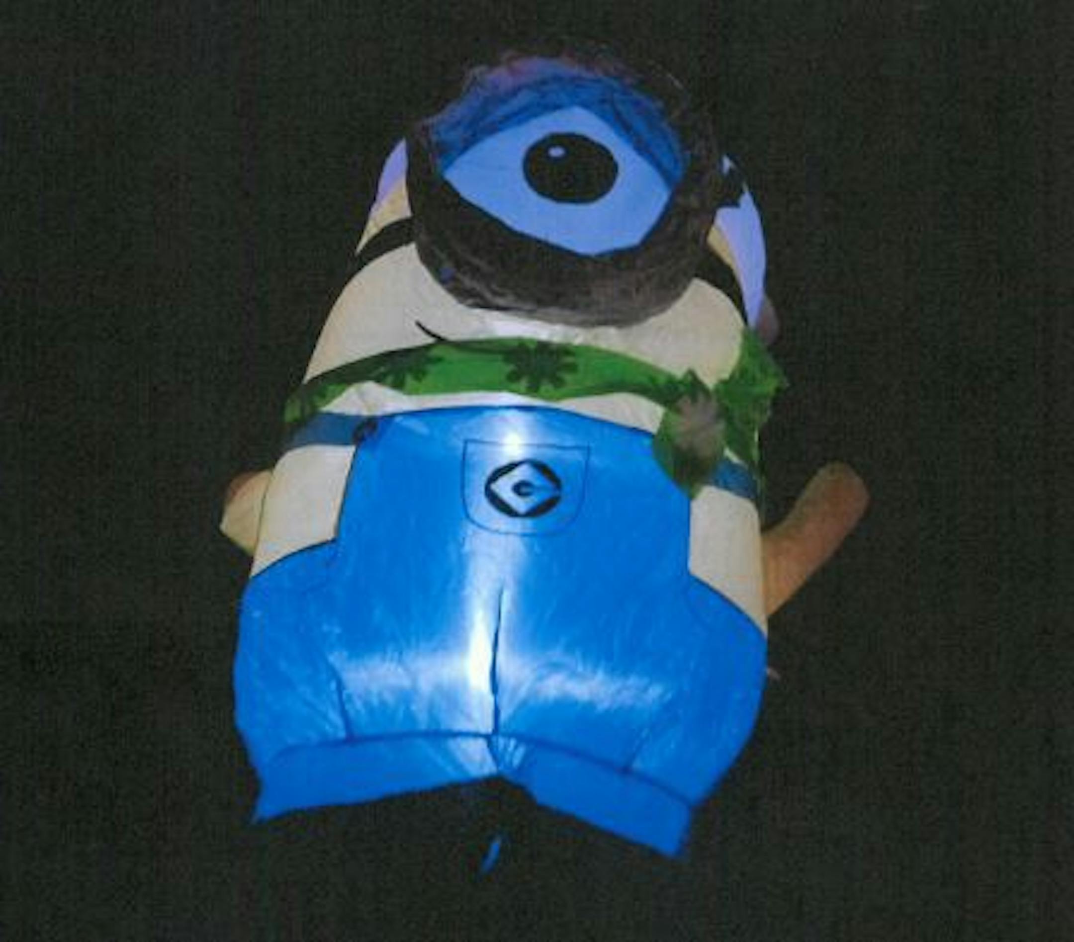 This inflatable was the victim of vandalism in Sartell.