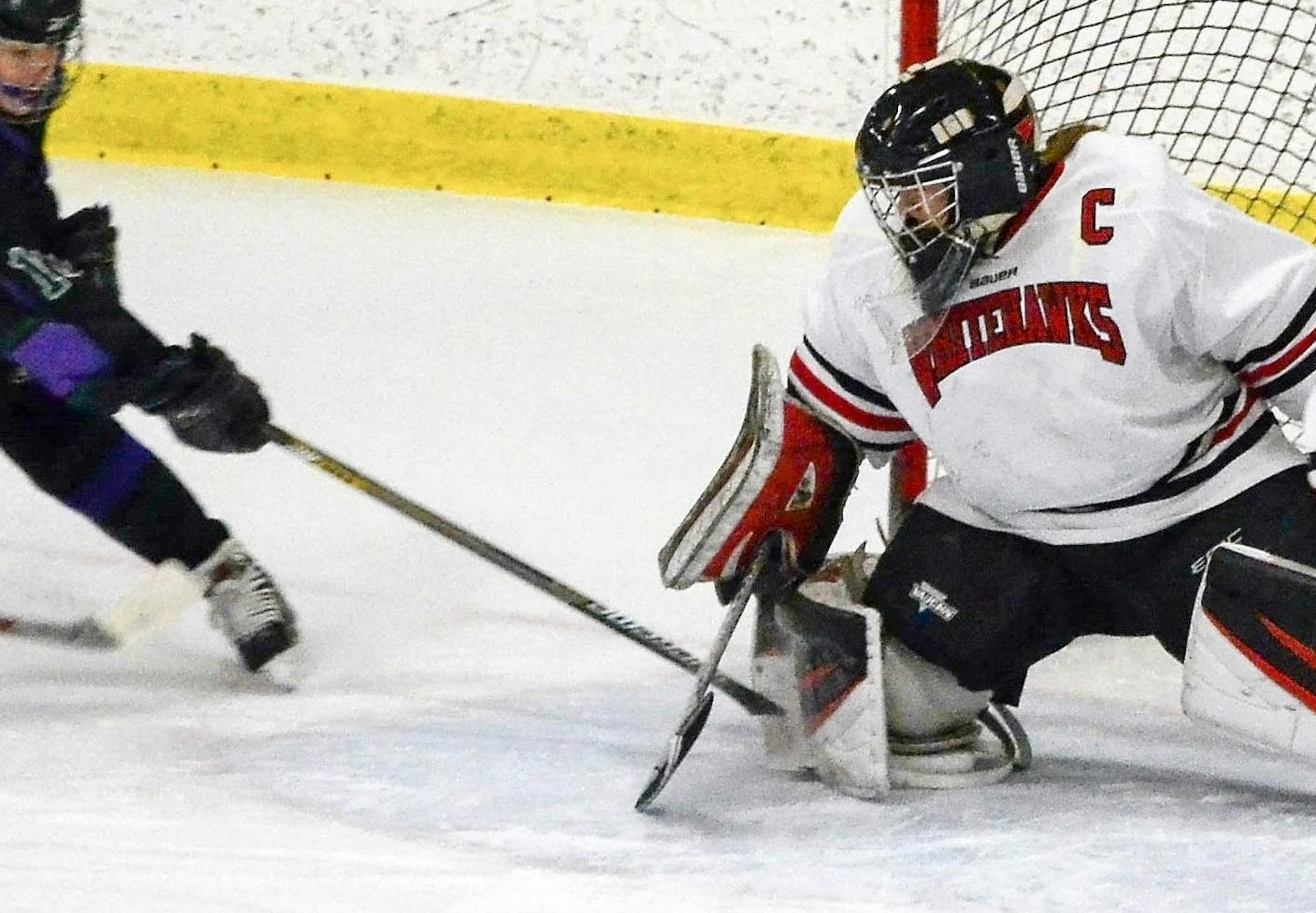 Mound Westonka's Emma Polusny stops a shot by a Holy Family/Waconia player in a game on Jan. 21, 2016.