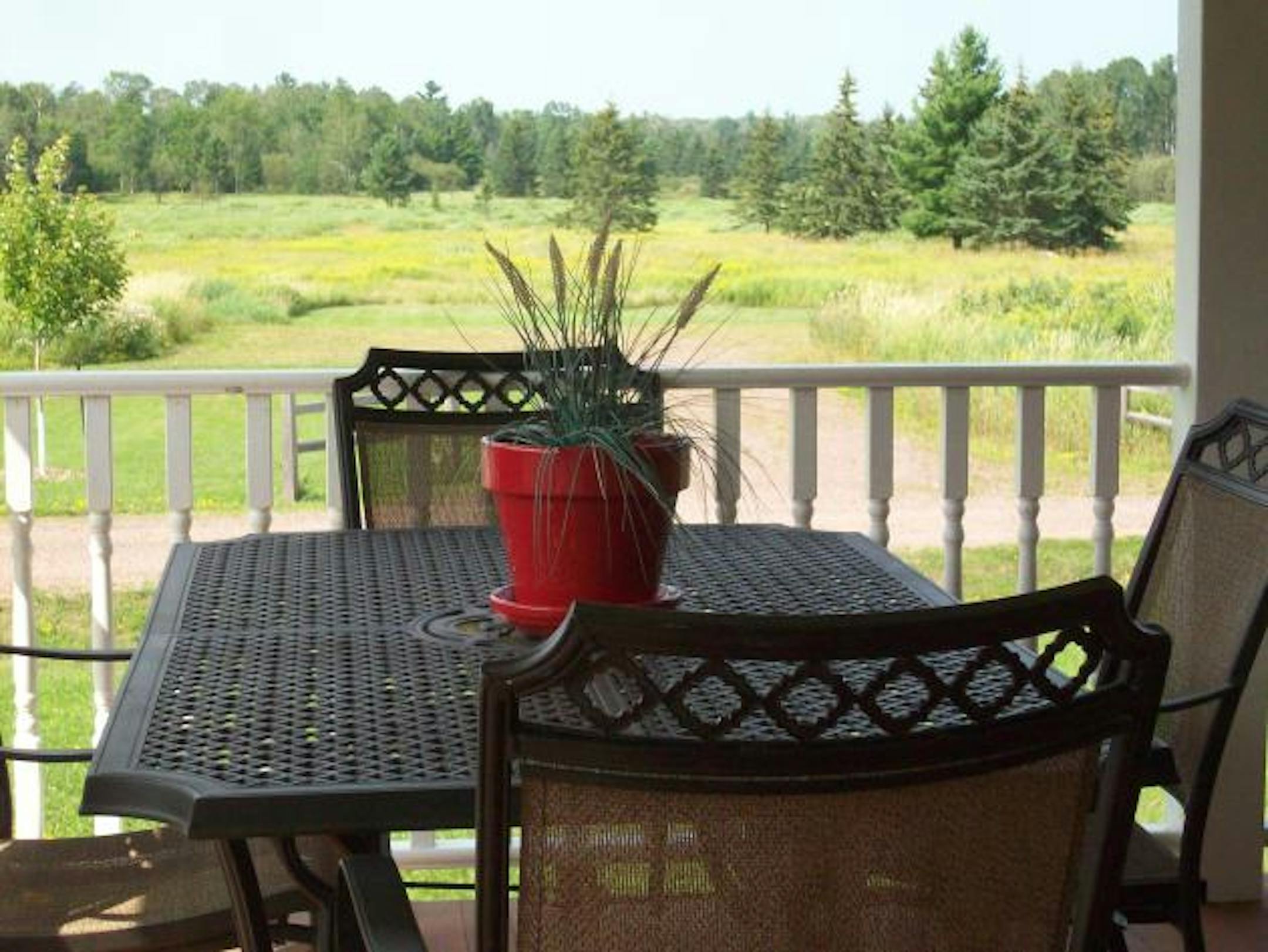 The view from the farmhouse porch. Photo by Laura Hansen.