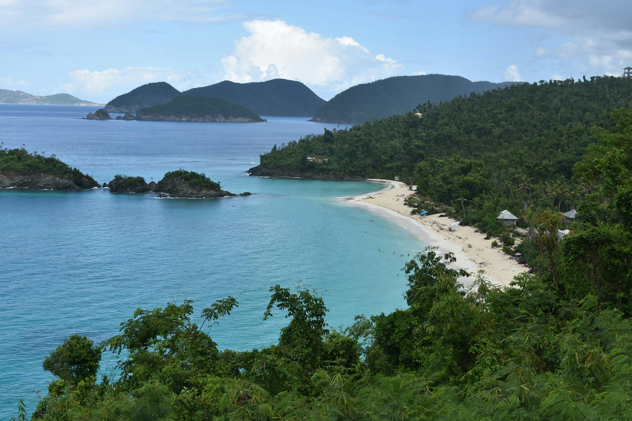 A hillside view of Trunk Bay, whose greenery is now flourishing after being stripped bare during Hurricane Irma. Photo by Claire Shefchik * Special to the Star Tribune
