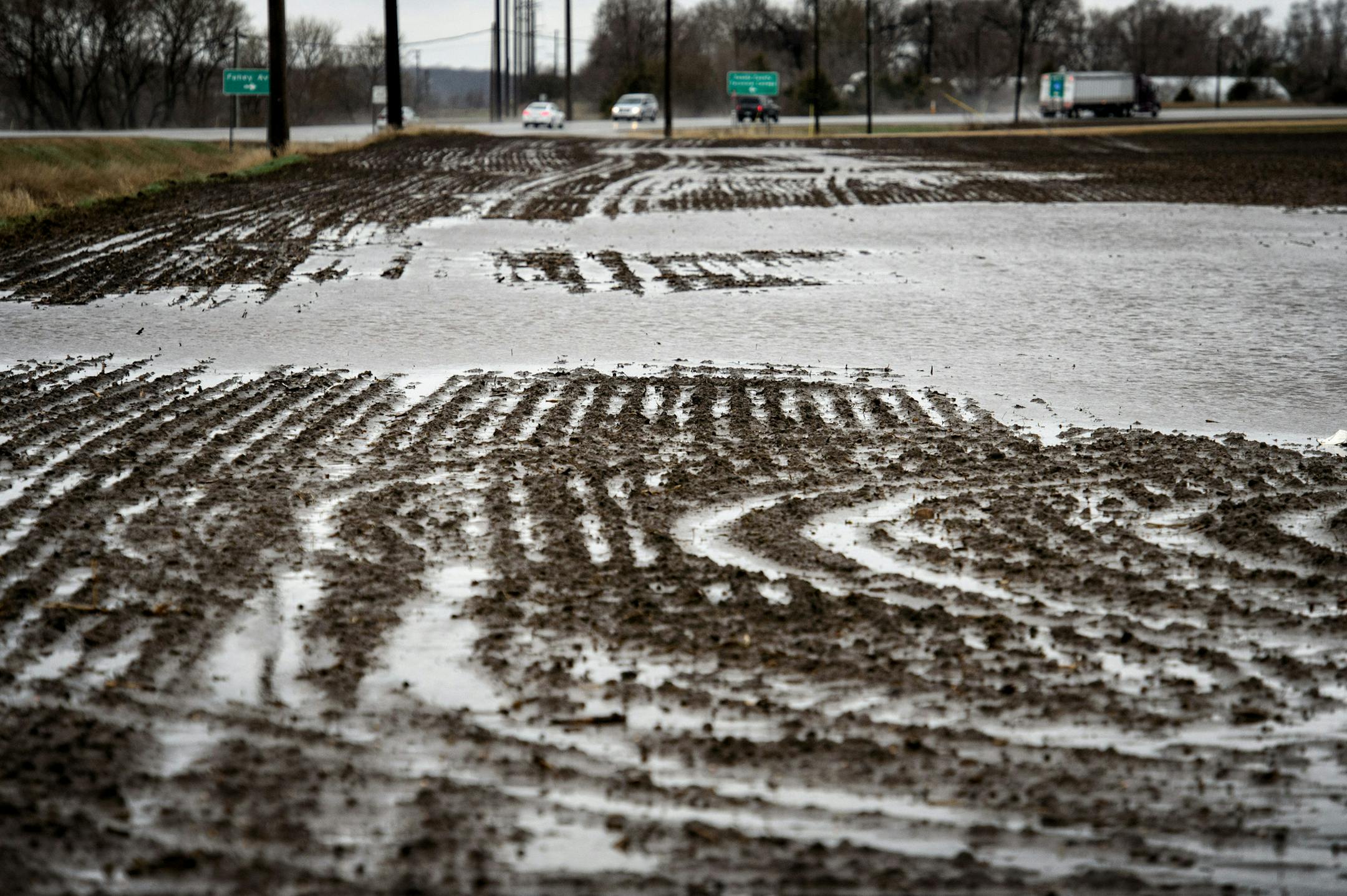 Puddles gathered in a soggy Rosemount farm field on Monday.