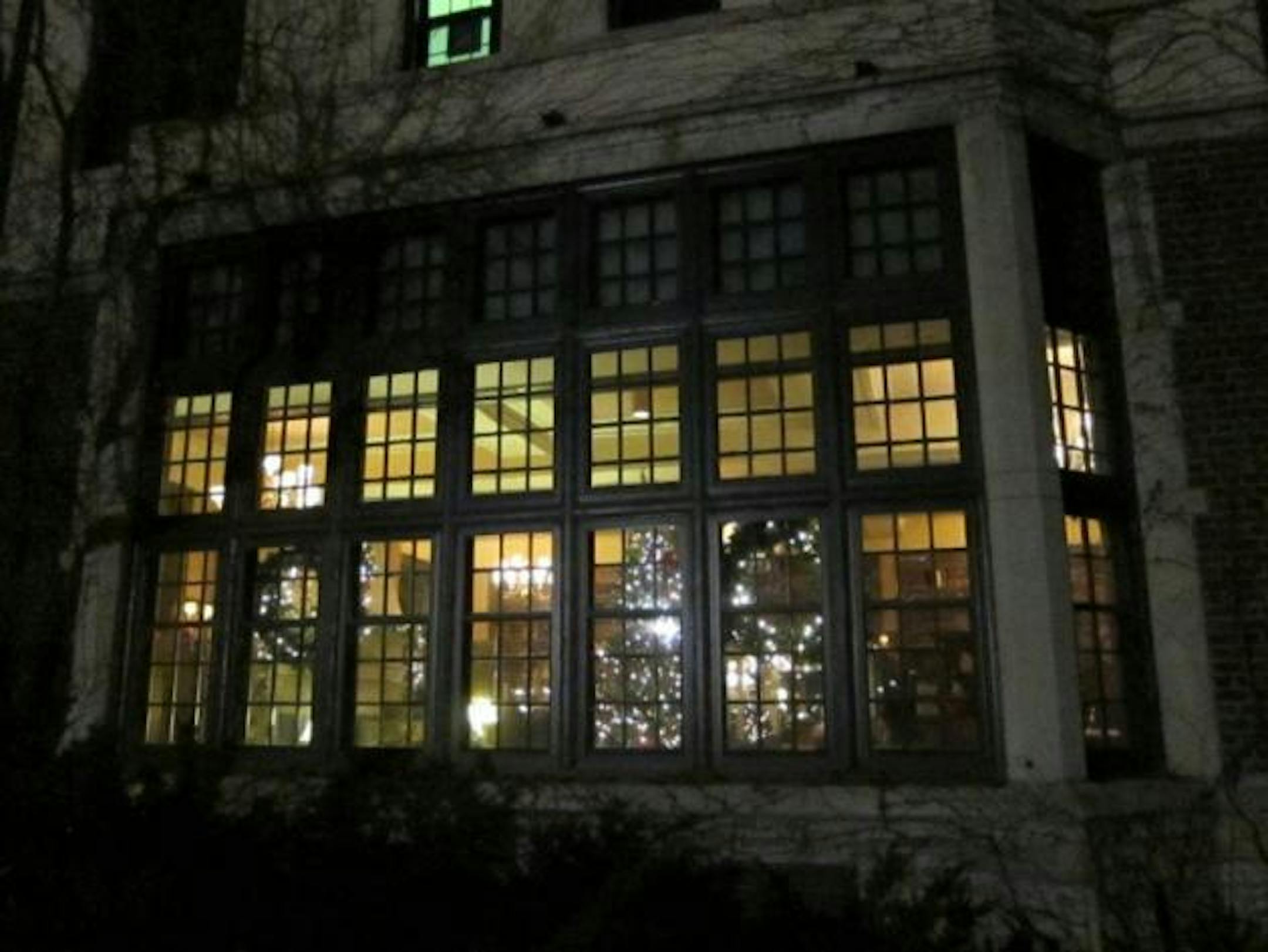 Trees, wreaths, white lights everywhere.