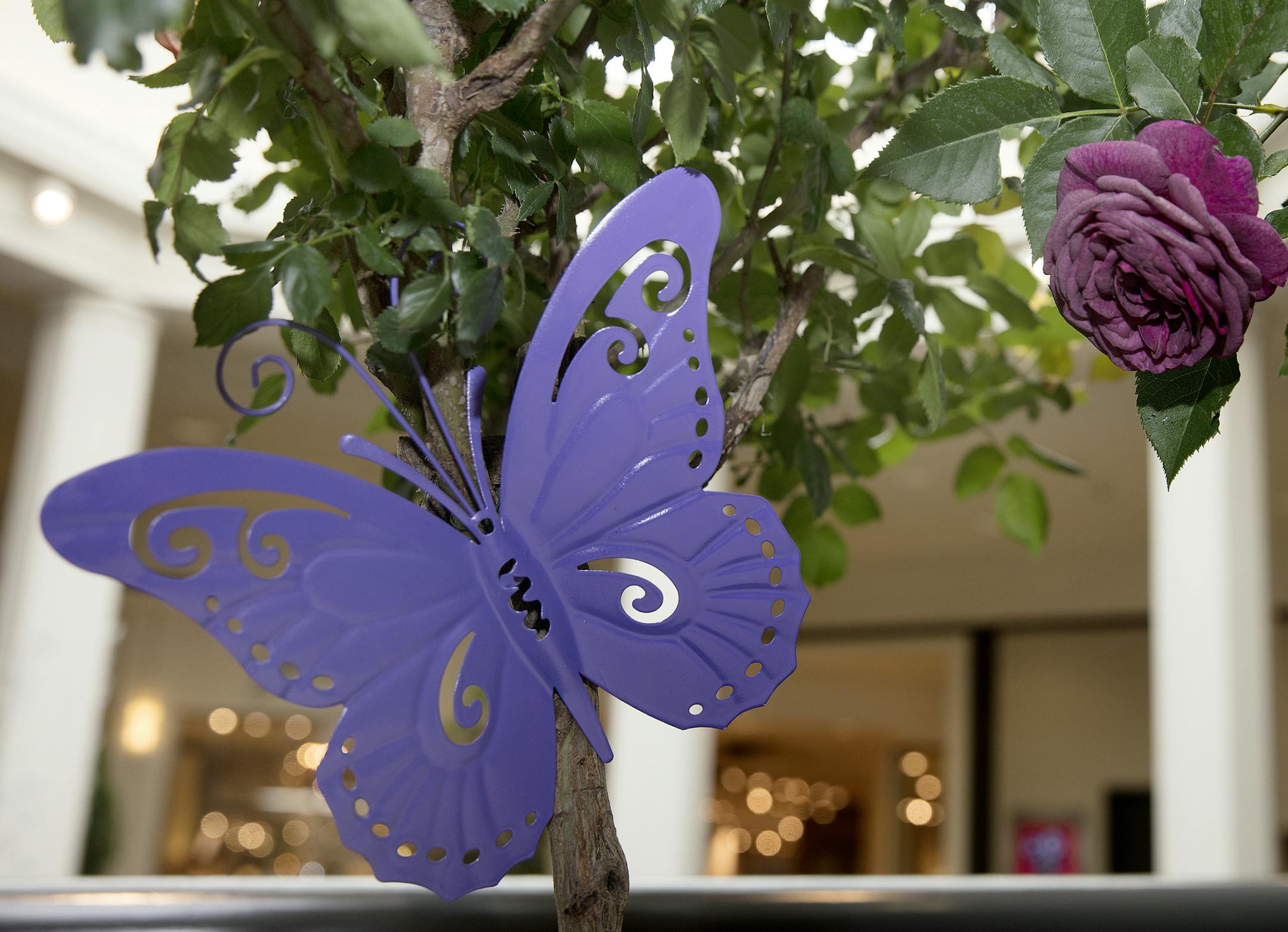 Dale Bachman gives us a tour of the Bachman's/Galleria flower show "Spring is in the Air." [ Saxo #1005666928 flowers032718