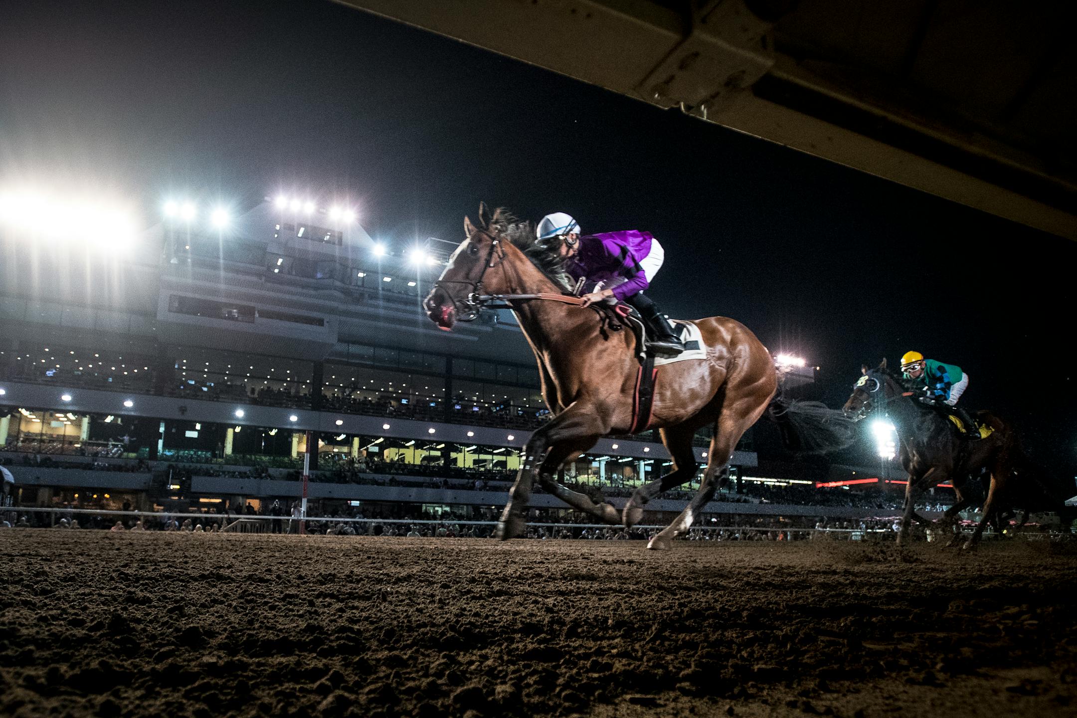 "Bourbon County," ridden by Alex Canchari, crossed the finish line to win first place in the Canterbury Park 10,000 Lakes Stakes Friday night.