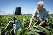 Wally Parkins, owner of Royal Farms in Royalton, Minn., showed off a soil probe he is experimenting with to monitor nitrate usage on his corn crop in 