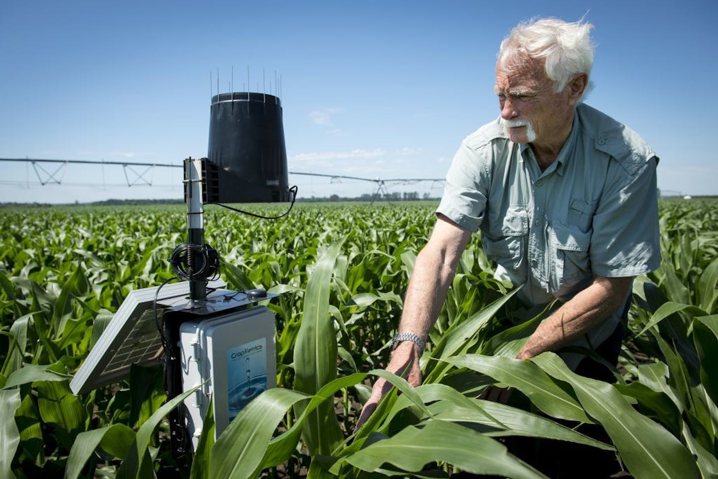 Wally Parkins, owner of Royal Farms in Royalton, Minn., showed off a soil probe he is experimenting with to monitor nitrate usage on his corn crop in late June.