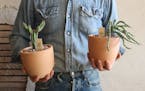 Millennials are choosing to be "plant parents" over actual parents, and Madre Cacti Co. caters to them by bringing the Southwest to the North.