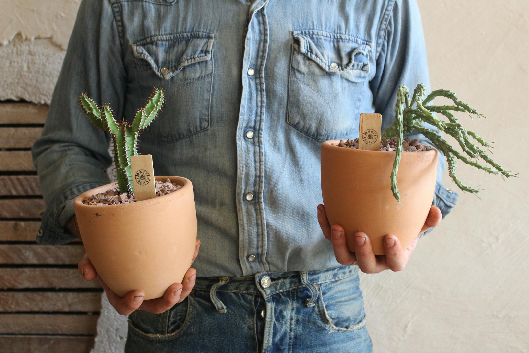 Millennials are choosing to be "plant parents" over actual parents, and Madre Cacti Co. caters to them by bringing the Southwest to the North.
