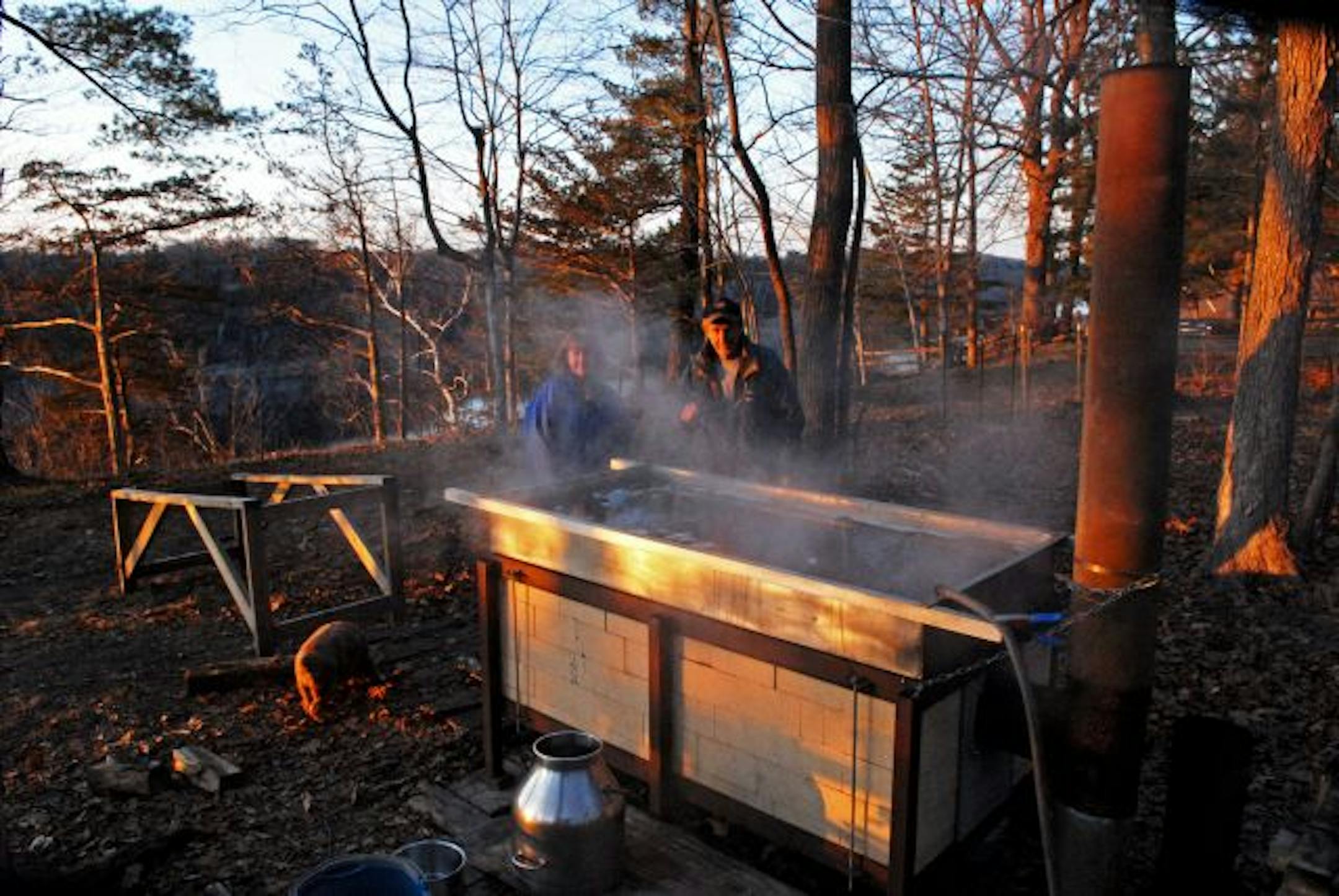 Karen and Lon Navis of Houlton, Wis., have for decades produced maple syrup from their own trees, and undertaking that is a tradition not only with them, but their neighbors. In the background is the flooded St. Croix River.